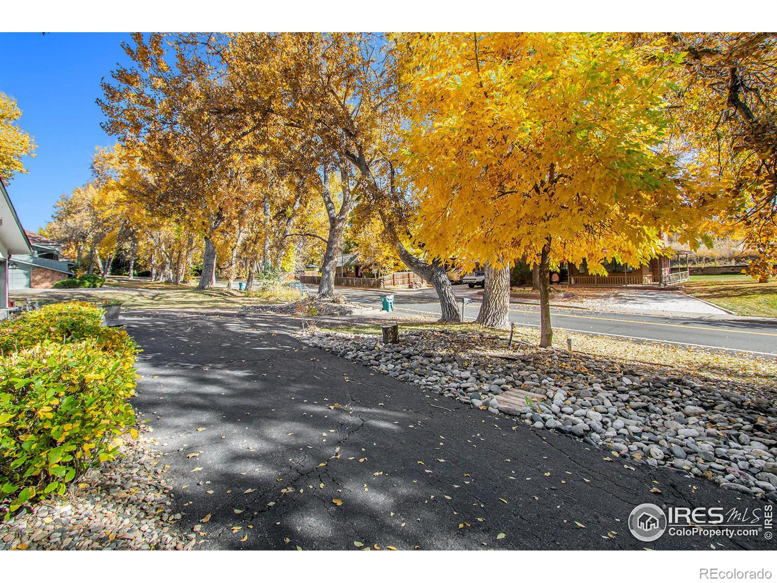 MLS Image #20 for 1605  morning drive,loveland, Colorado