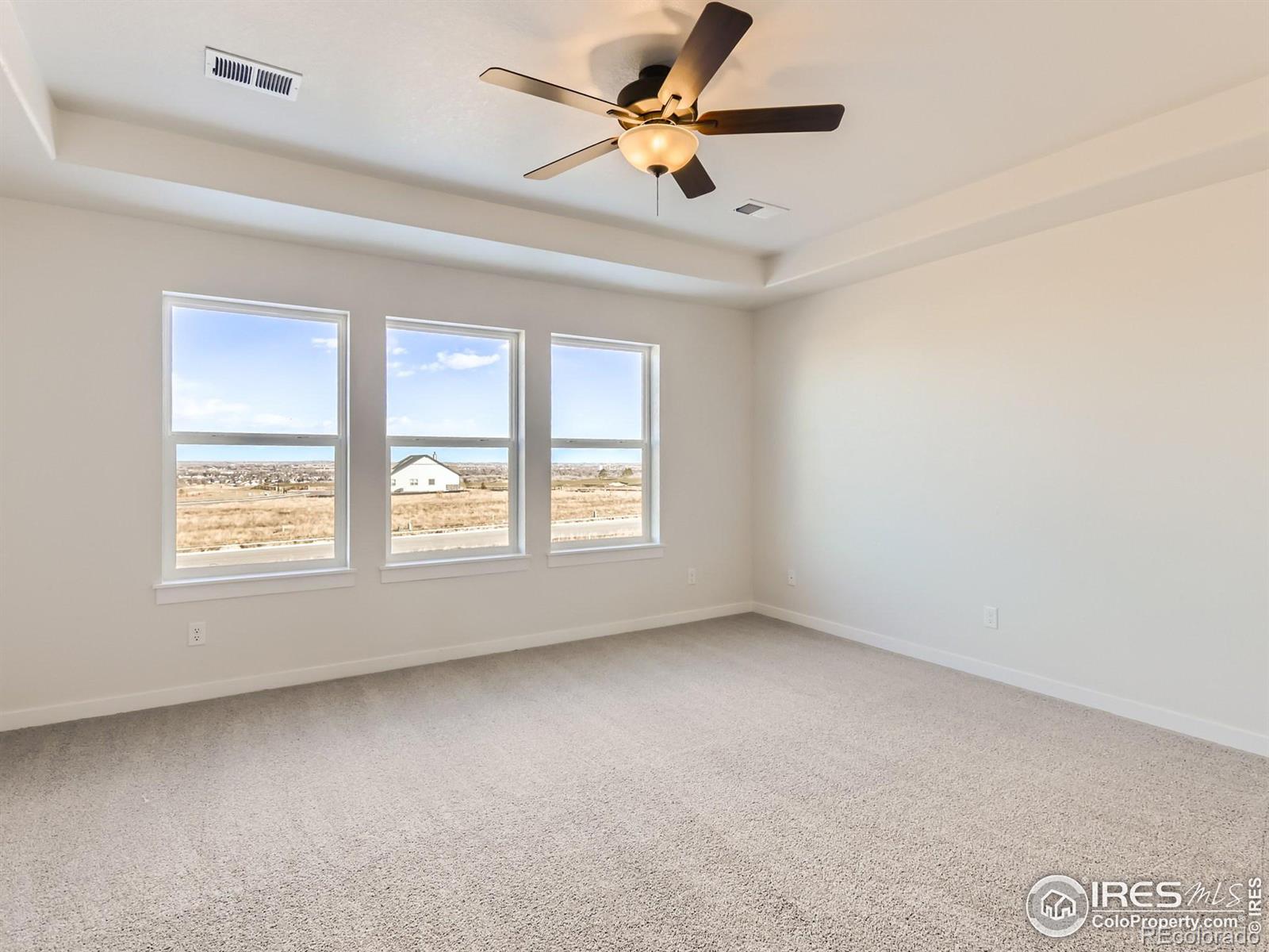 MLS Image #13 for 1844  golden sun drive,windsor, Colorado