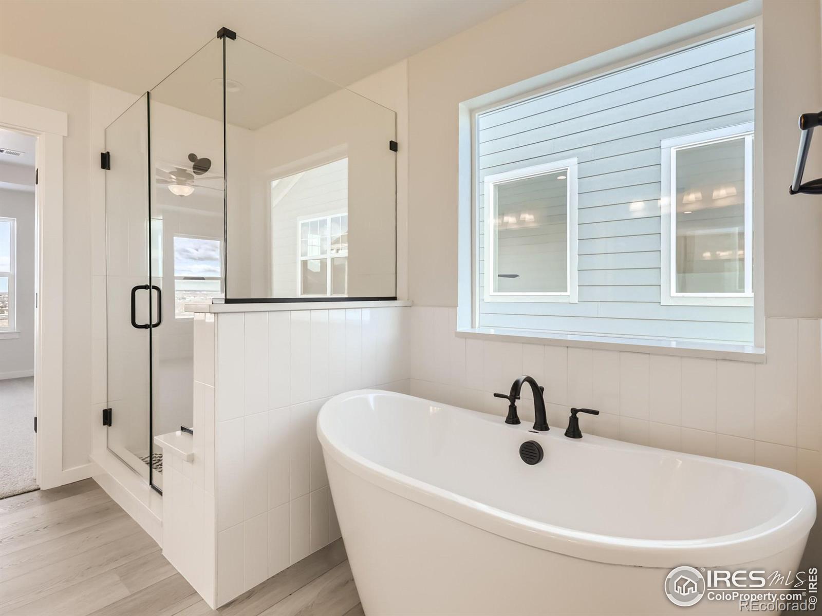 MLS Image #15 for 1844  golden sun drive,windsor, Colorado