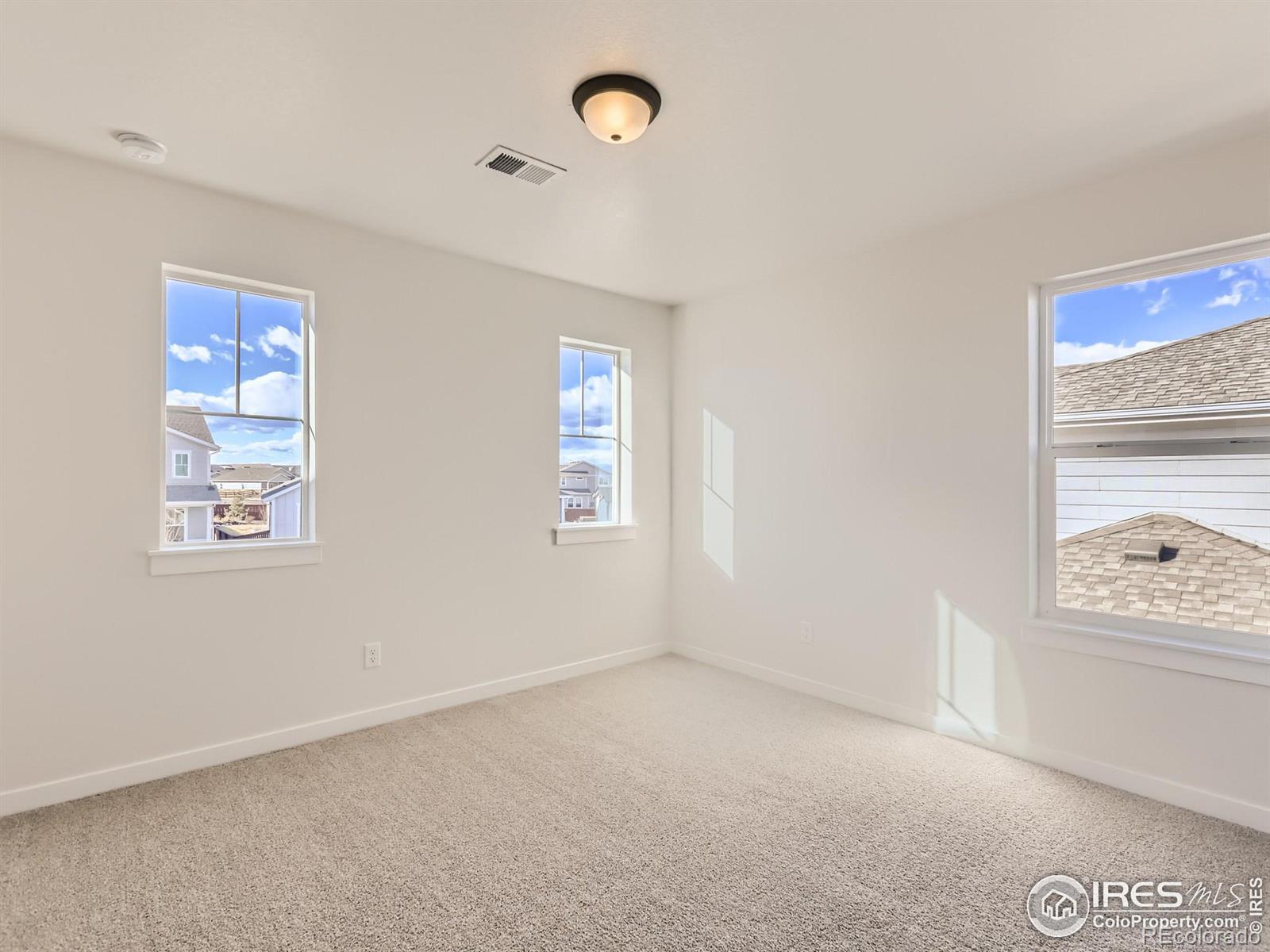 MLS Image #19 for 1844  golden sun drive,windsor, Colorado