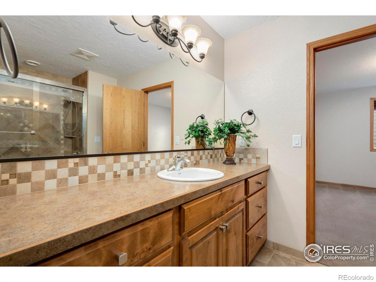 MLS Image #26 for 1326  park ridge drive,severance, Colorado