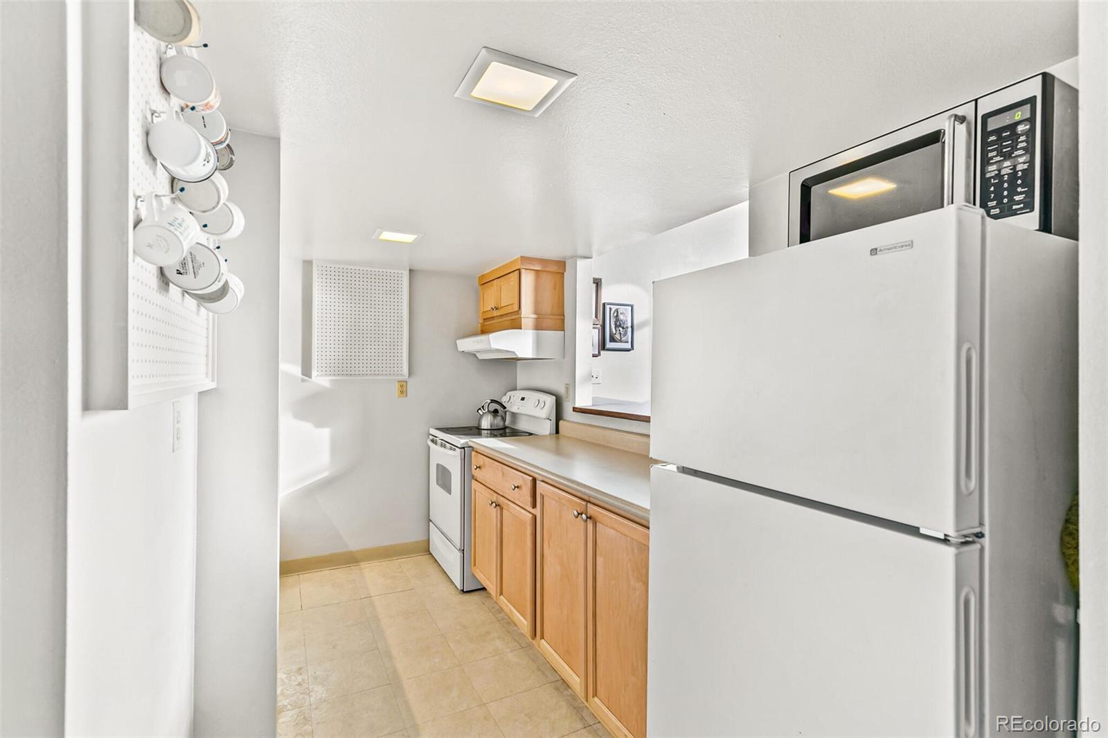 MLS Image #21 for 108 w byers place 206,denver, Colorado