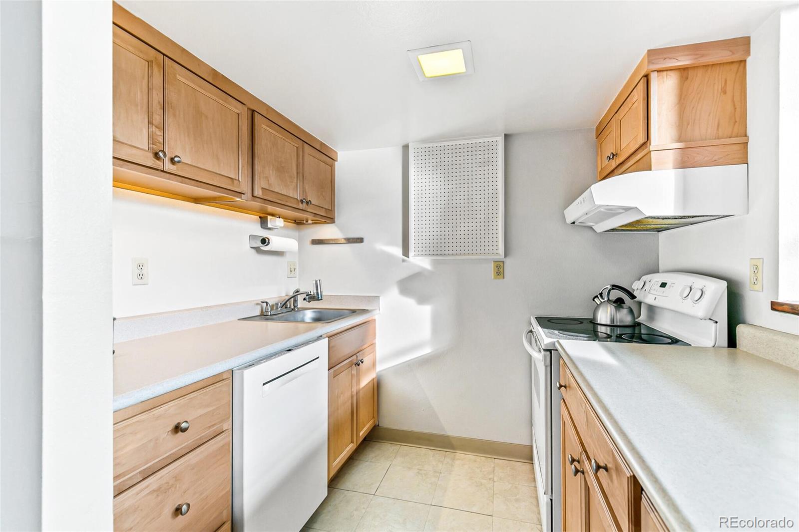MLS Image #22 for 108 w byers place,denver, Colorado