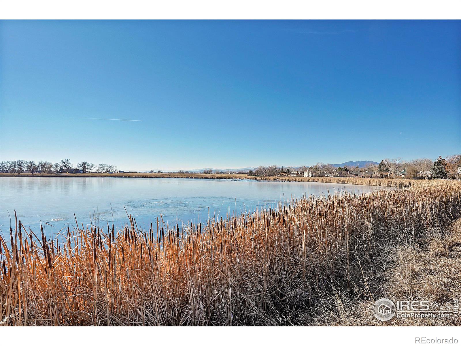 MLS Image #28 for 1450  cattail drive,loveland, Colorado