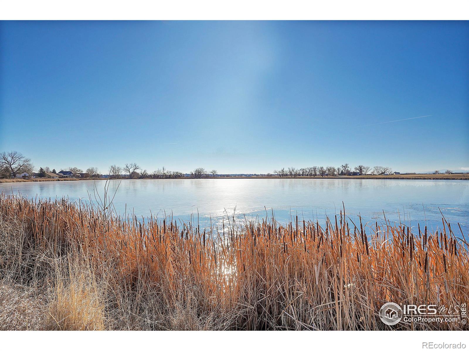 MLS Image #29 for 1450  cattail drive,loveland, Colorado