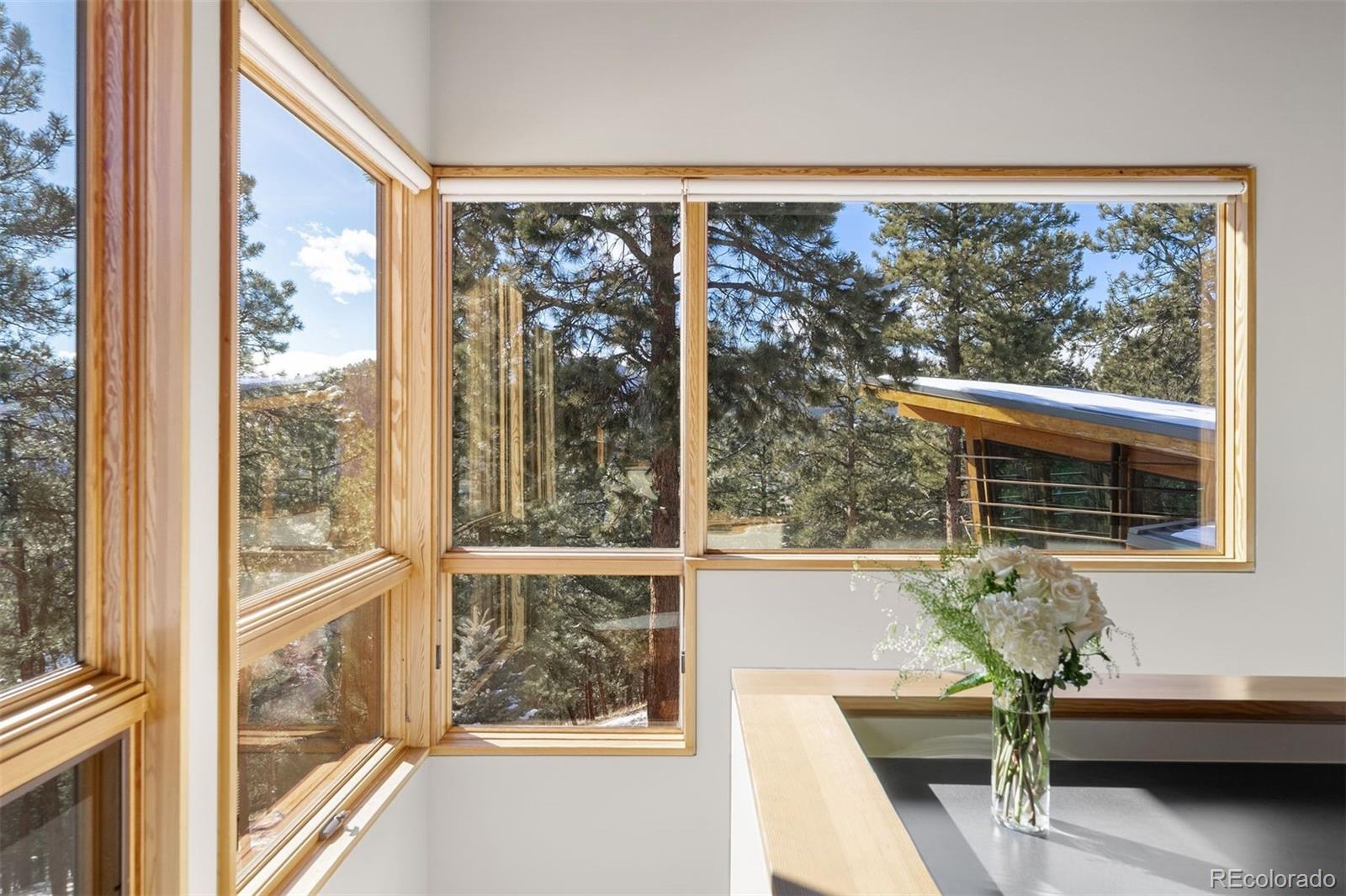 MLS Image #40 for 1444  silver rock lane,evergreen, Colorado