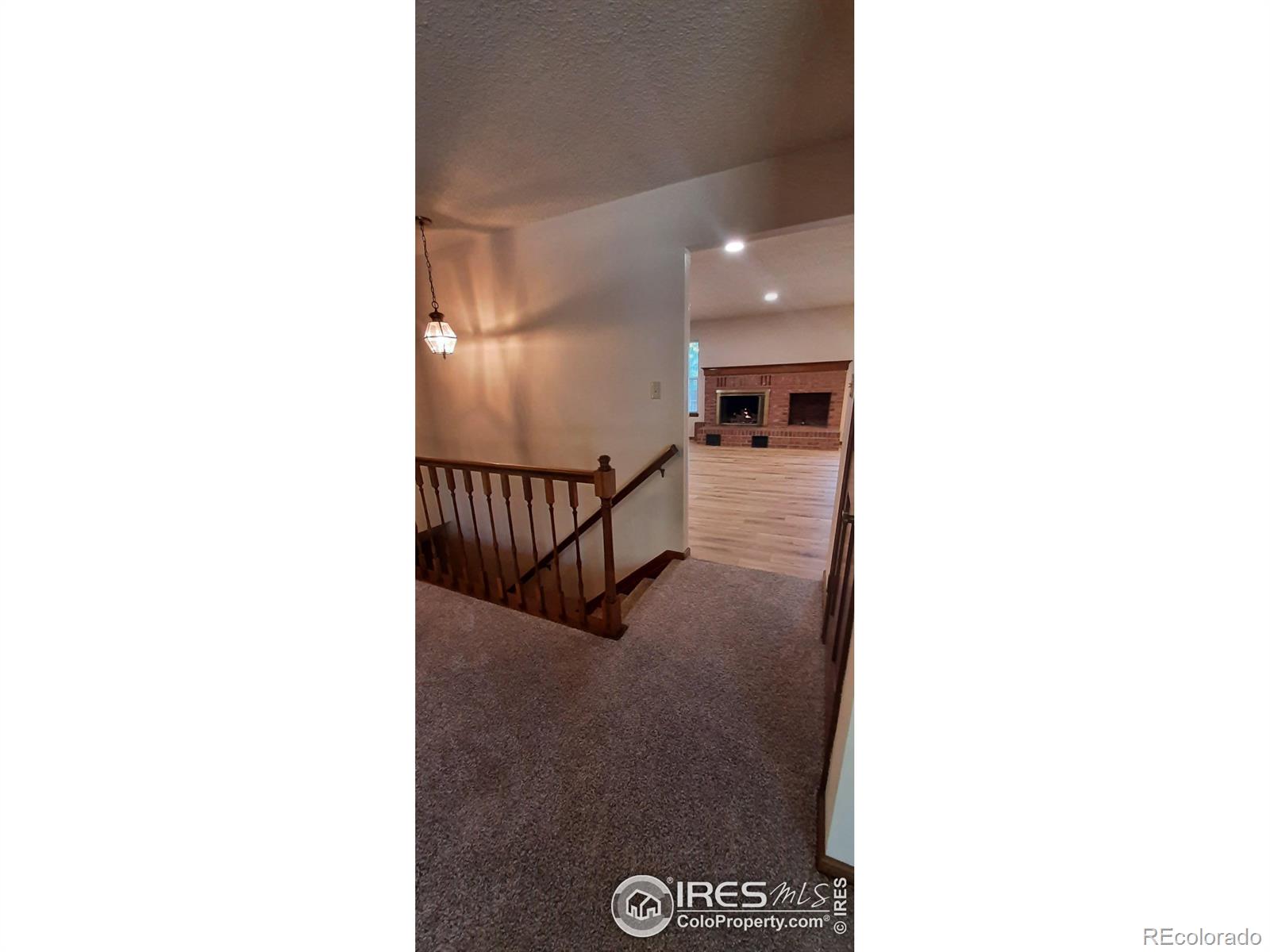 MLS Image #5 for 4219  kingsbury drive,fort collins, Colorado