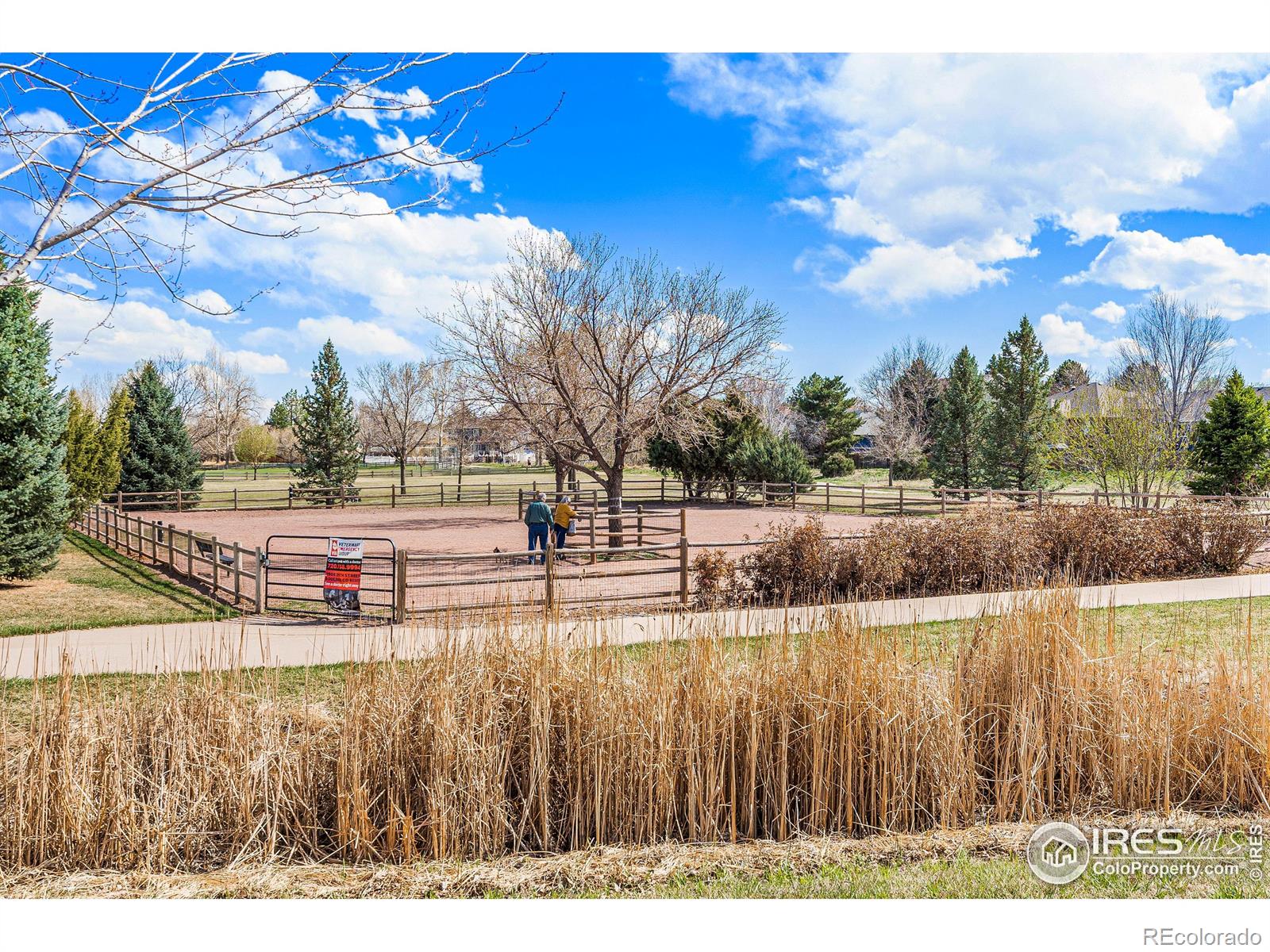 MLS Image #37 for 2011  winding drive,longmont, Colorado