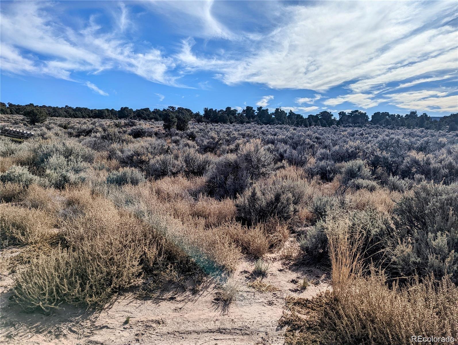 MLS Image #13 for lot 3668  zornow road,fort garland, Colorado