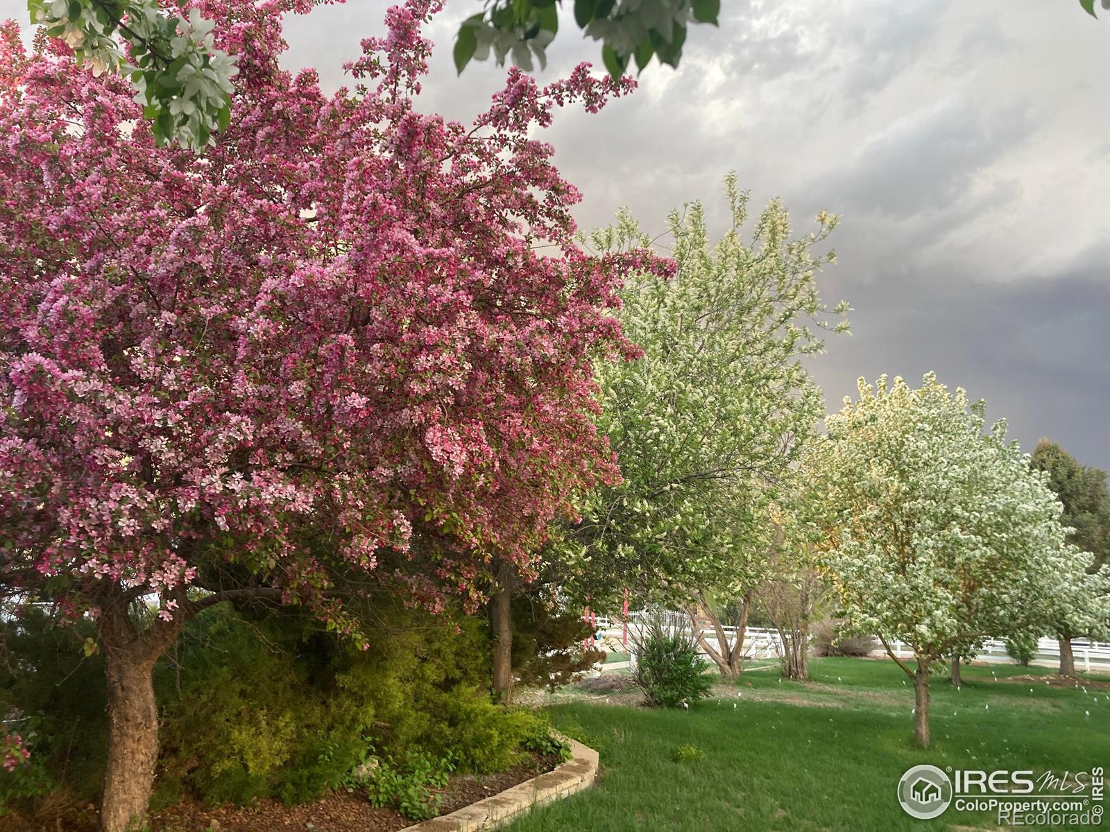 MLS Image #37 for 420  bobcat drive,milliken, Colorado