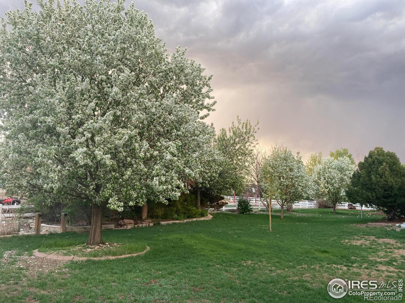 MLS Image #38 for 420  bobcat drive,milliken, Colorado