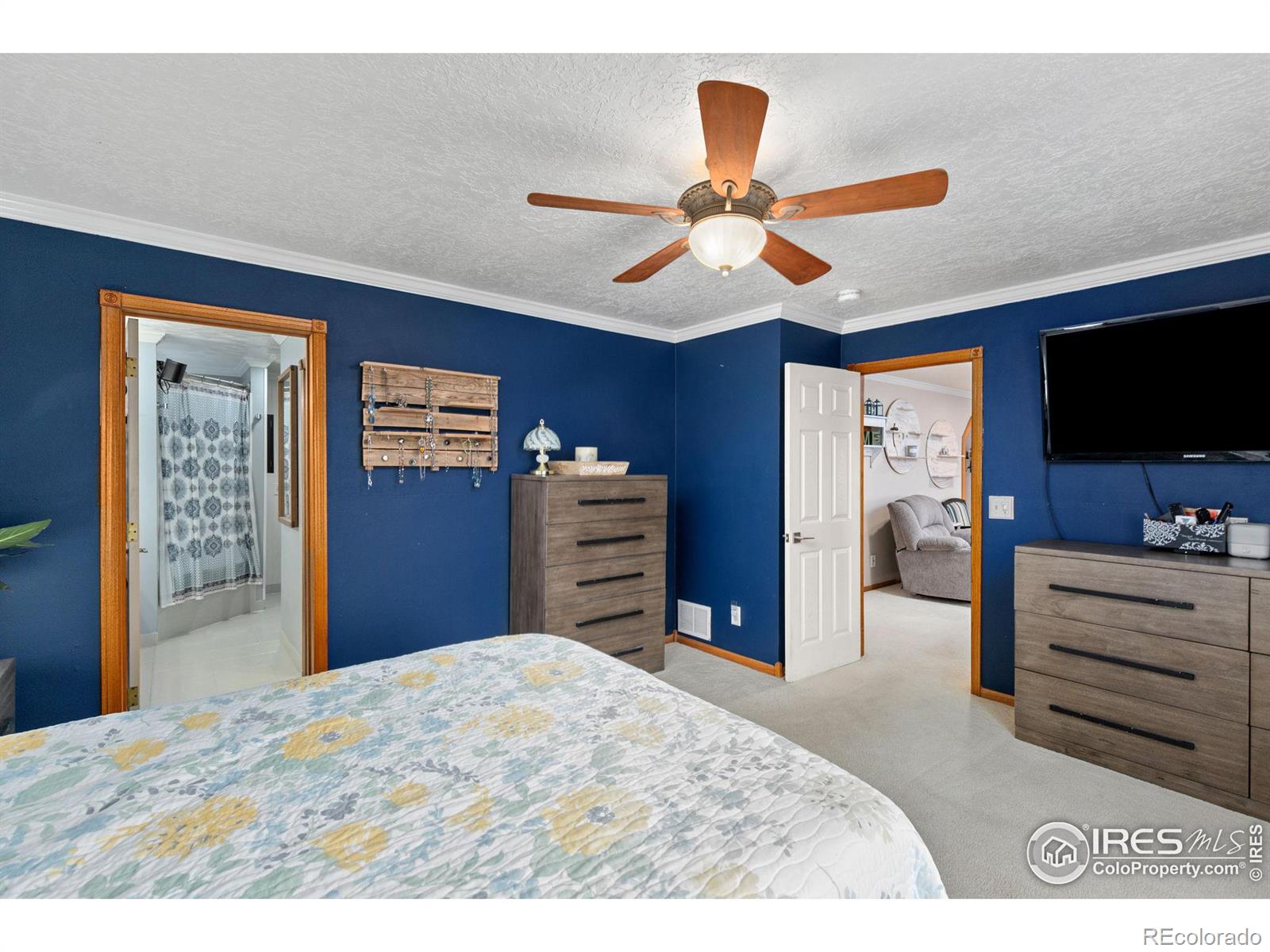 MLS Image #6 for 420  bobcat drive,milliken, Colorado