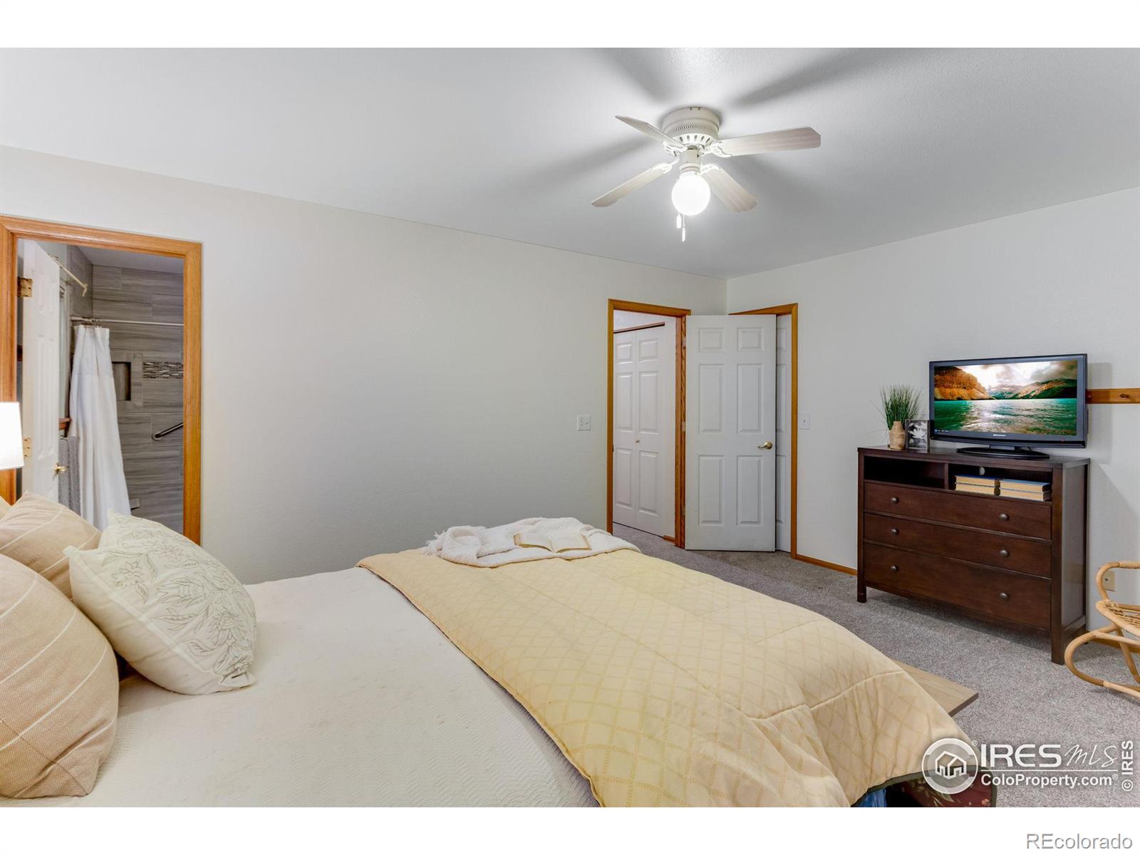 MLS Image #21 for 401  14th street,windsor, Colorado