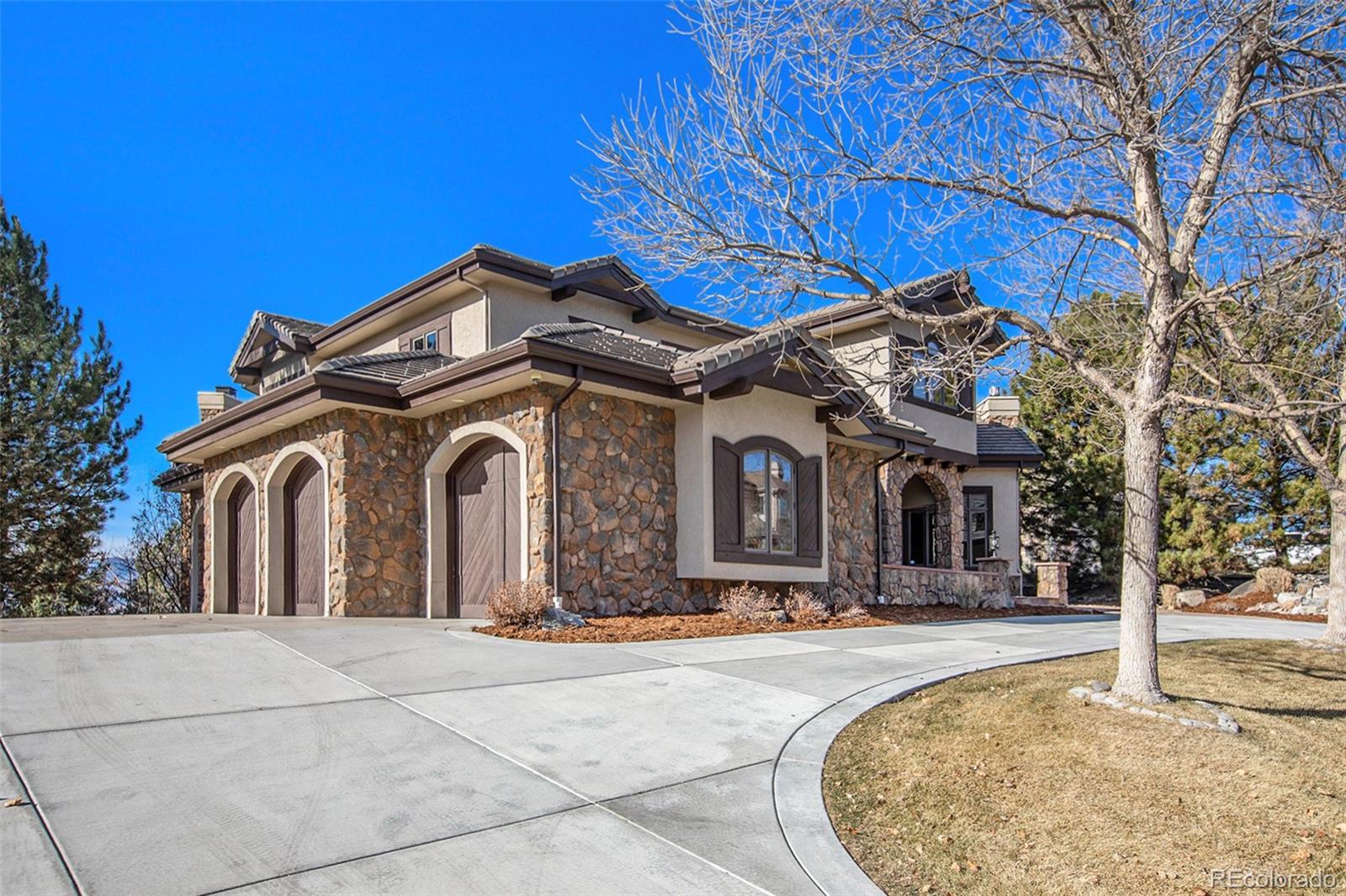 MLS Image #4 for 10255  dowling court,highlands ranch, Colorado