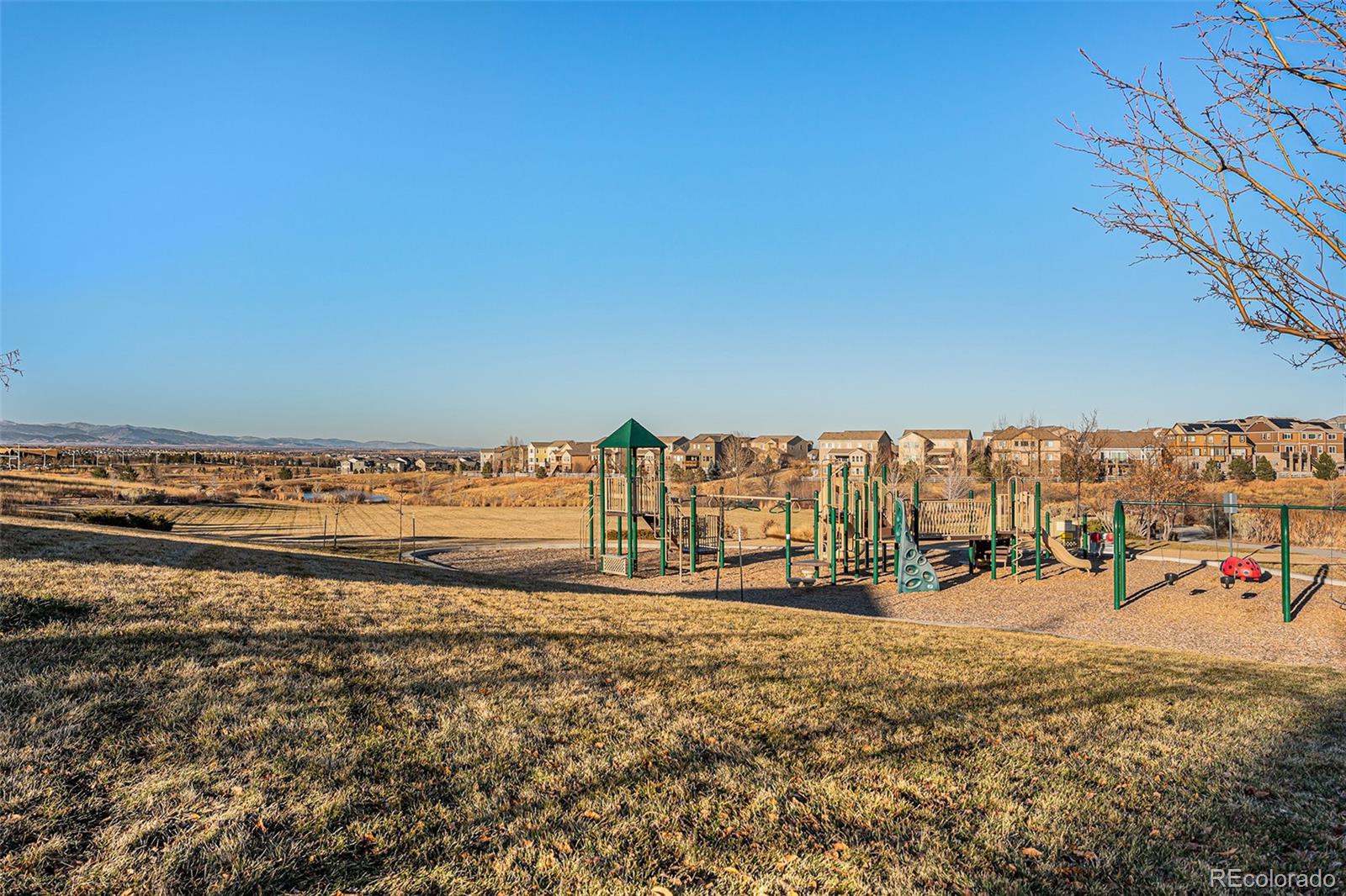 MLS Image #42 for 3106  yale drive,broomfield, Colorado