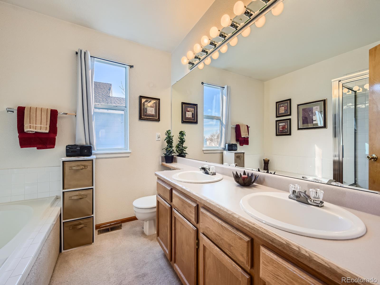 MLS Image #14 for 5295  weeping willow circle,highlands ranch, Colorado