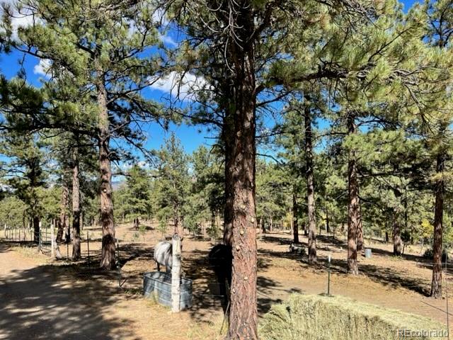 MLS Image #27 for 664  boneyard drive,westcliffe, Colorado