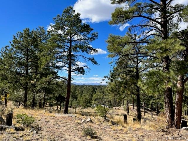 MLS Image #28 for 664  boneyard drive,westcliffe, Colorado