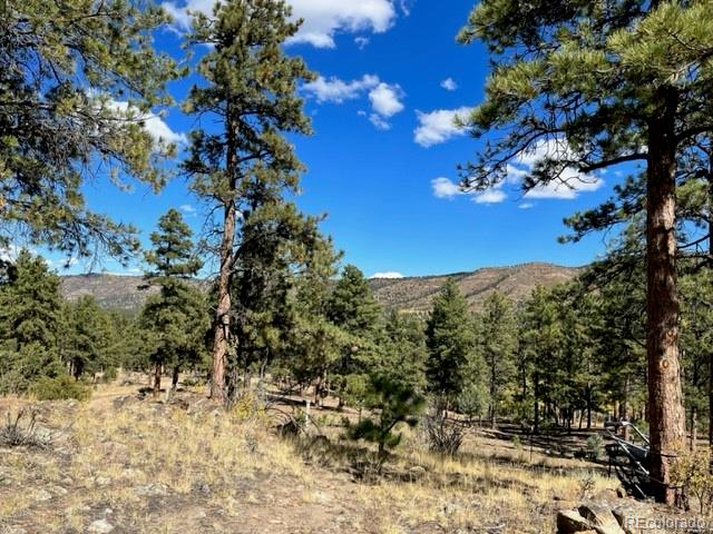 MLS Image #29 for 664  boneyard drive,westcliffe, Colorado