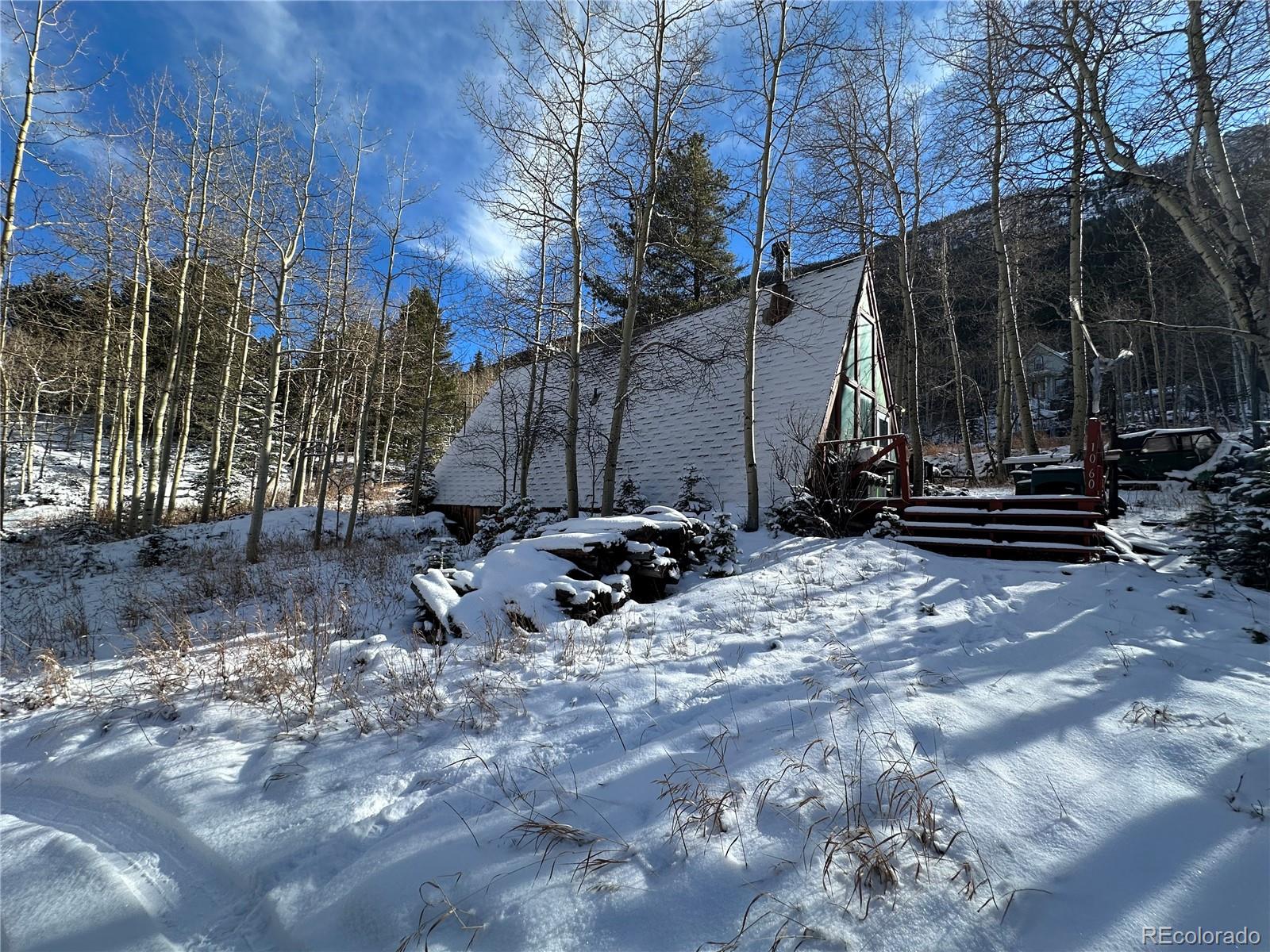 MLS Image #0 for 1060  paul street,silver plume, Colorado