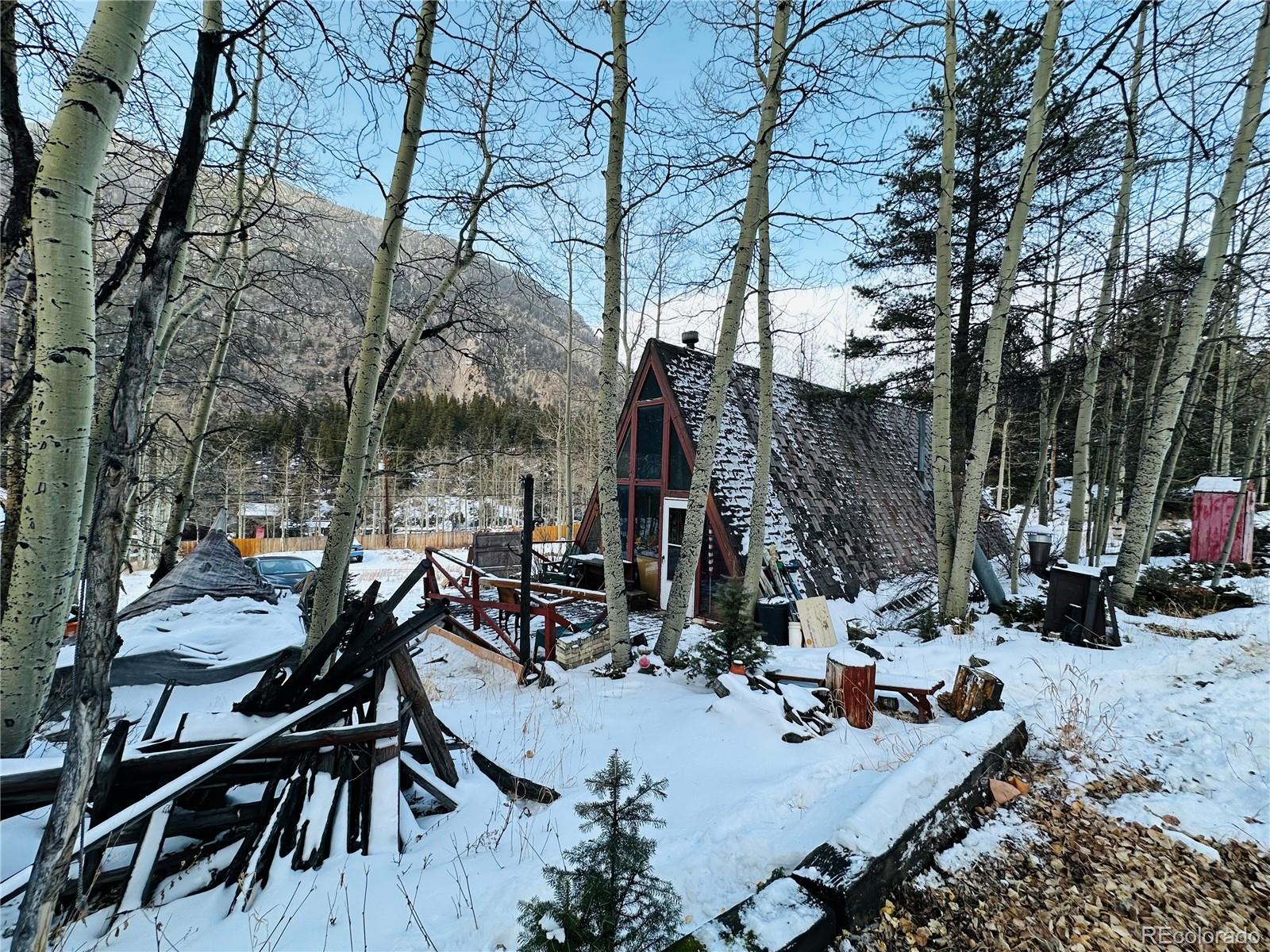 MLS Image #28 for 1060  paul street,silver plume, Colorado