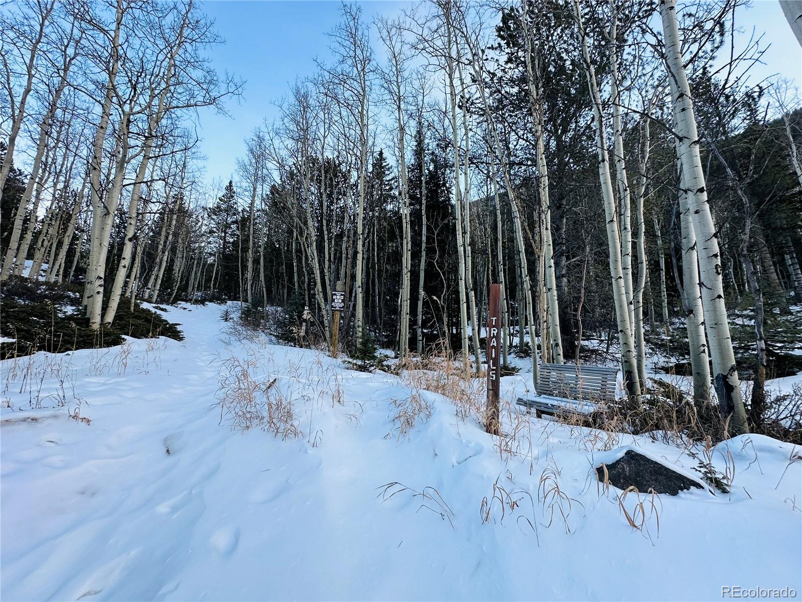 MLS Image #31 for 1060  paul street,silver plume, Colorado