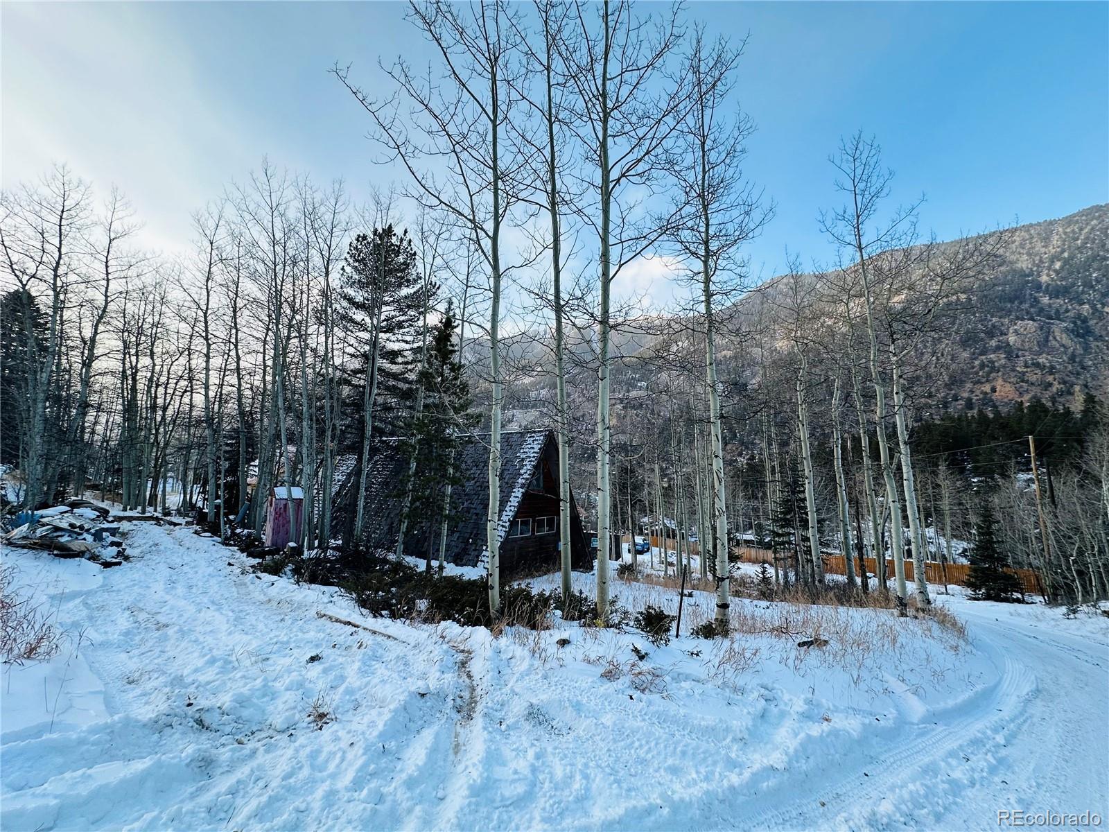 MLS Image #33 for 1060  paul street,silver plume, Colorado