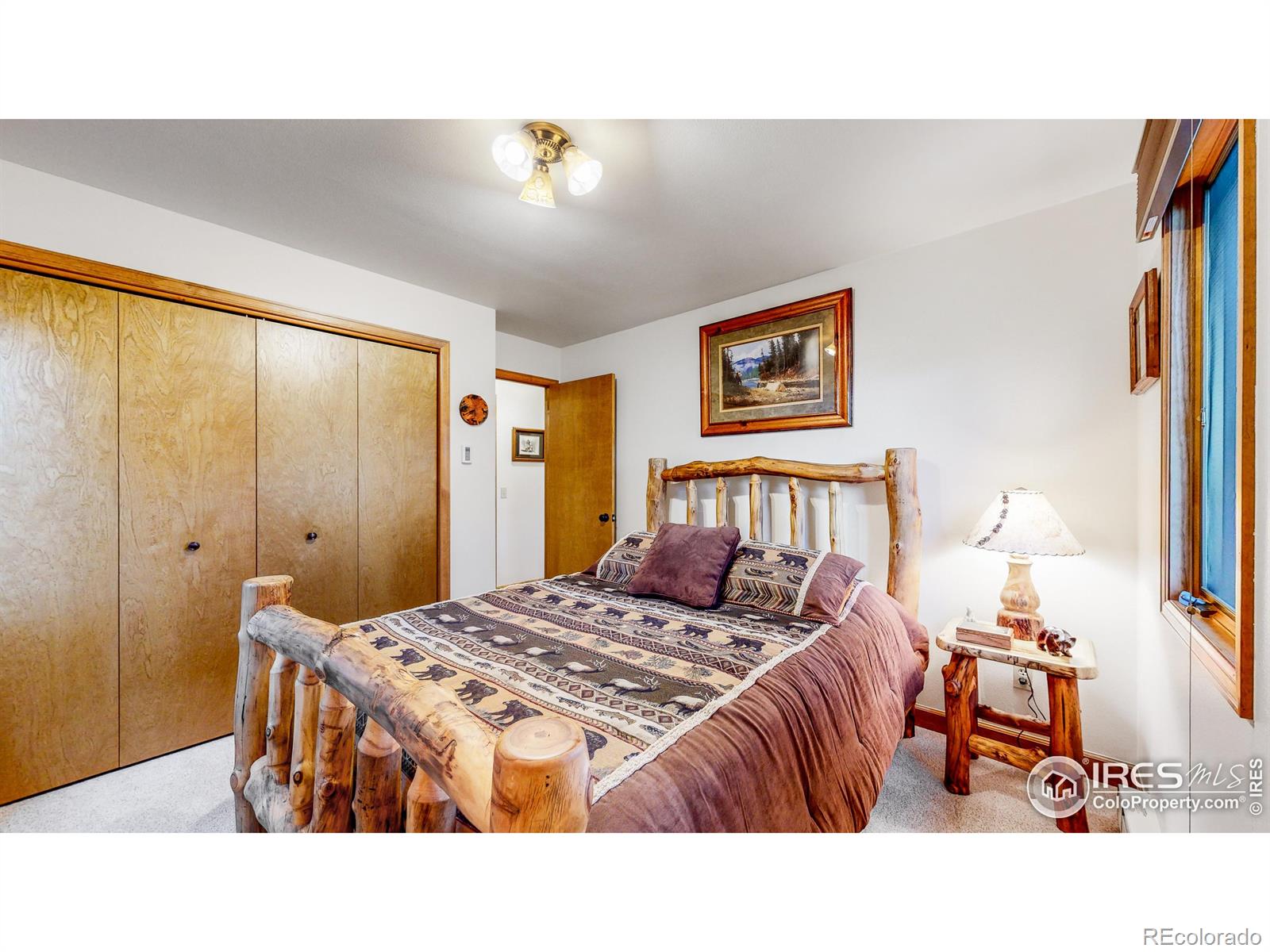 MLS Image #23 for 734  meadowview drive,estes park, Colorado