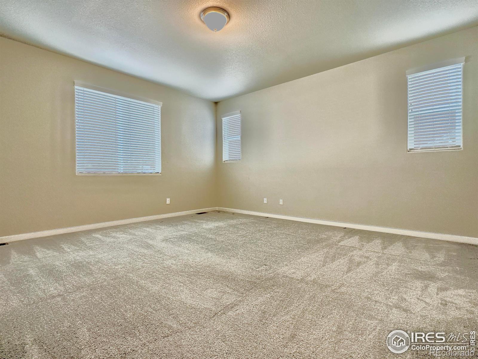 MLS Image #27 for 1580  marbeck drive,windsor, Colorado