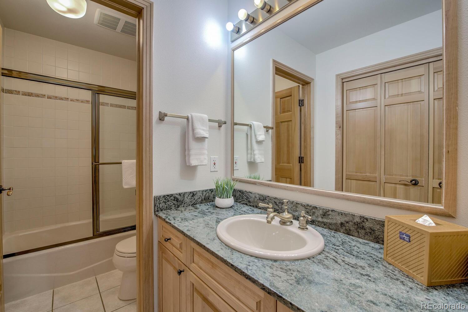 MLS Image #15 for 84  broken lance drive,breckenridge, Colorado