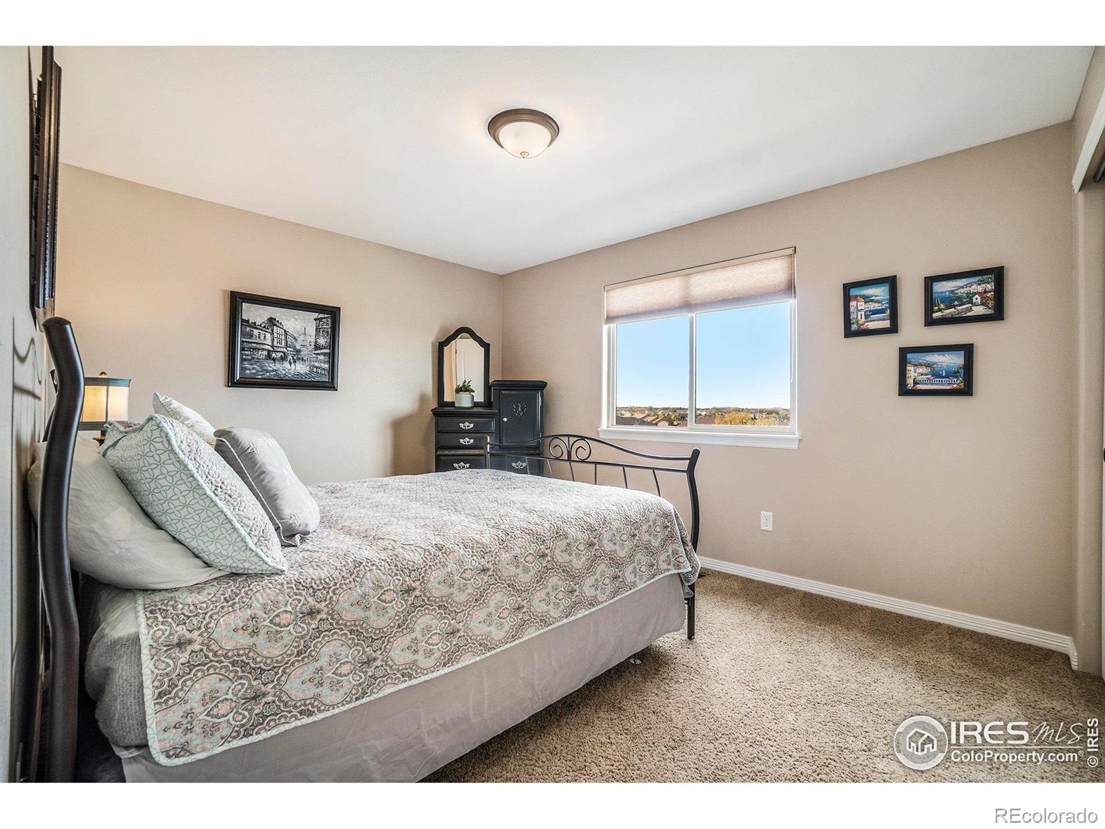 MLS Image #18 for 2040  bayfront drive,windsor, Colorado