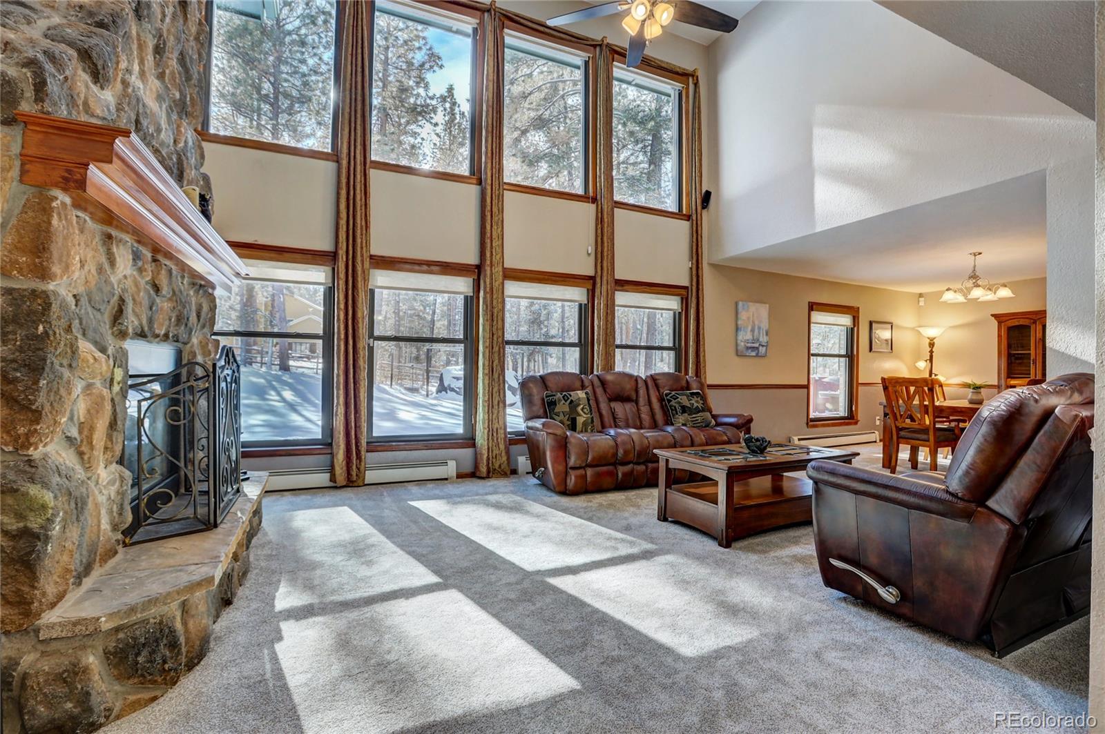 MLS Image #10 for 1531  meadow trail,franktown, Colorado