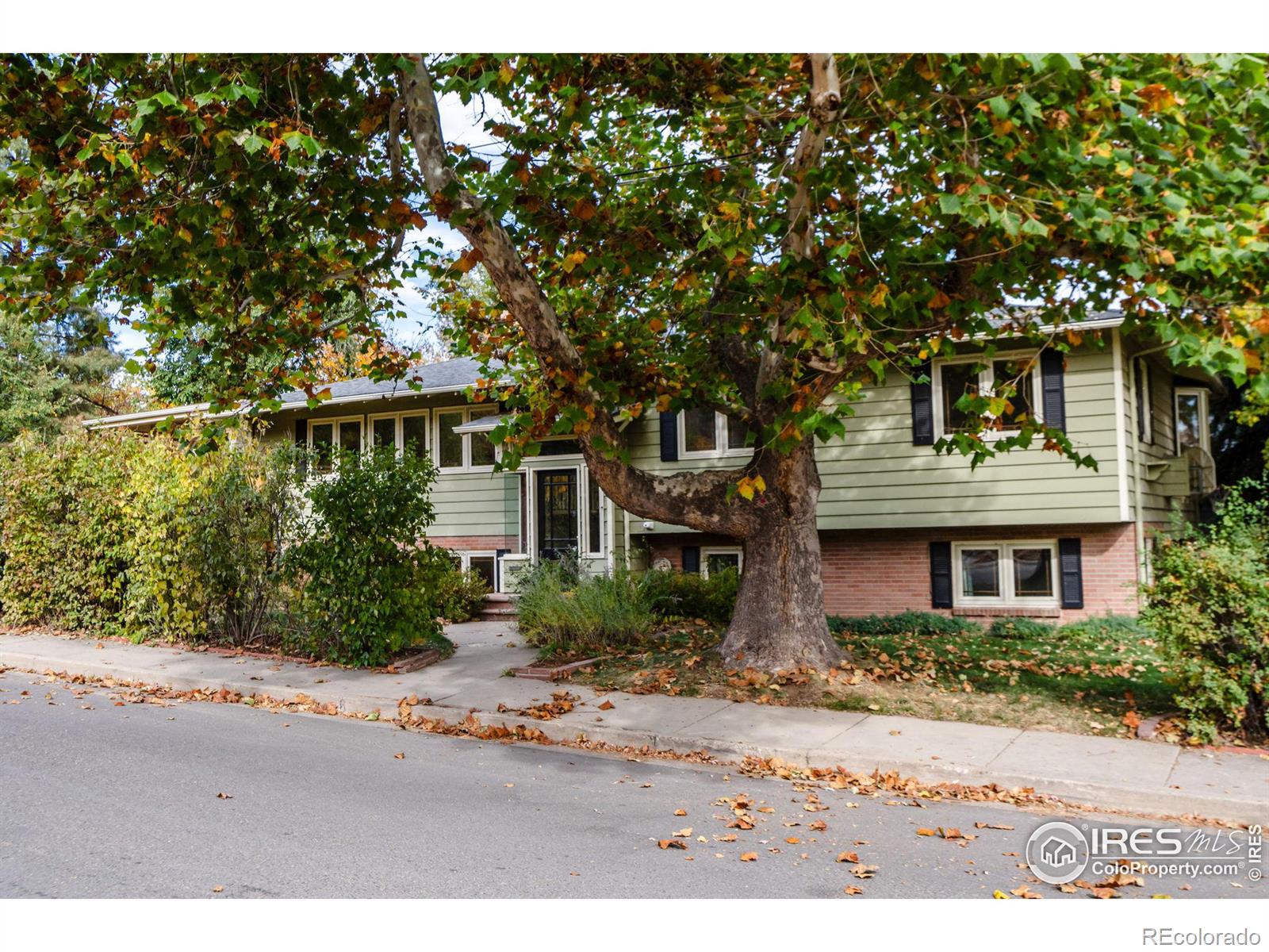 MLS Image #33 for 875  aurora avenue,boulder, Colorado