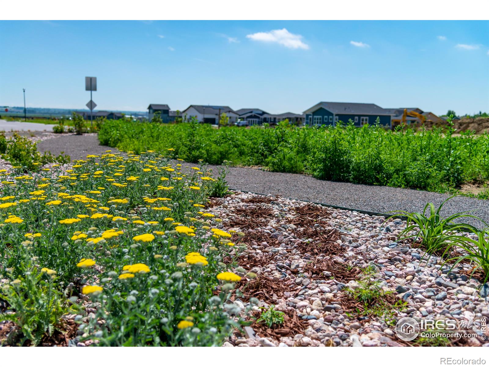 MLS Image #12 for 1911  morningstar way,fort collins, Colorado