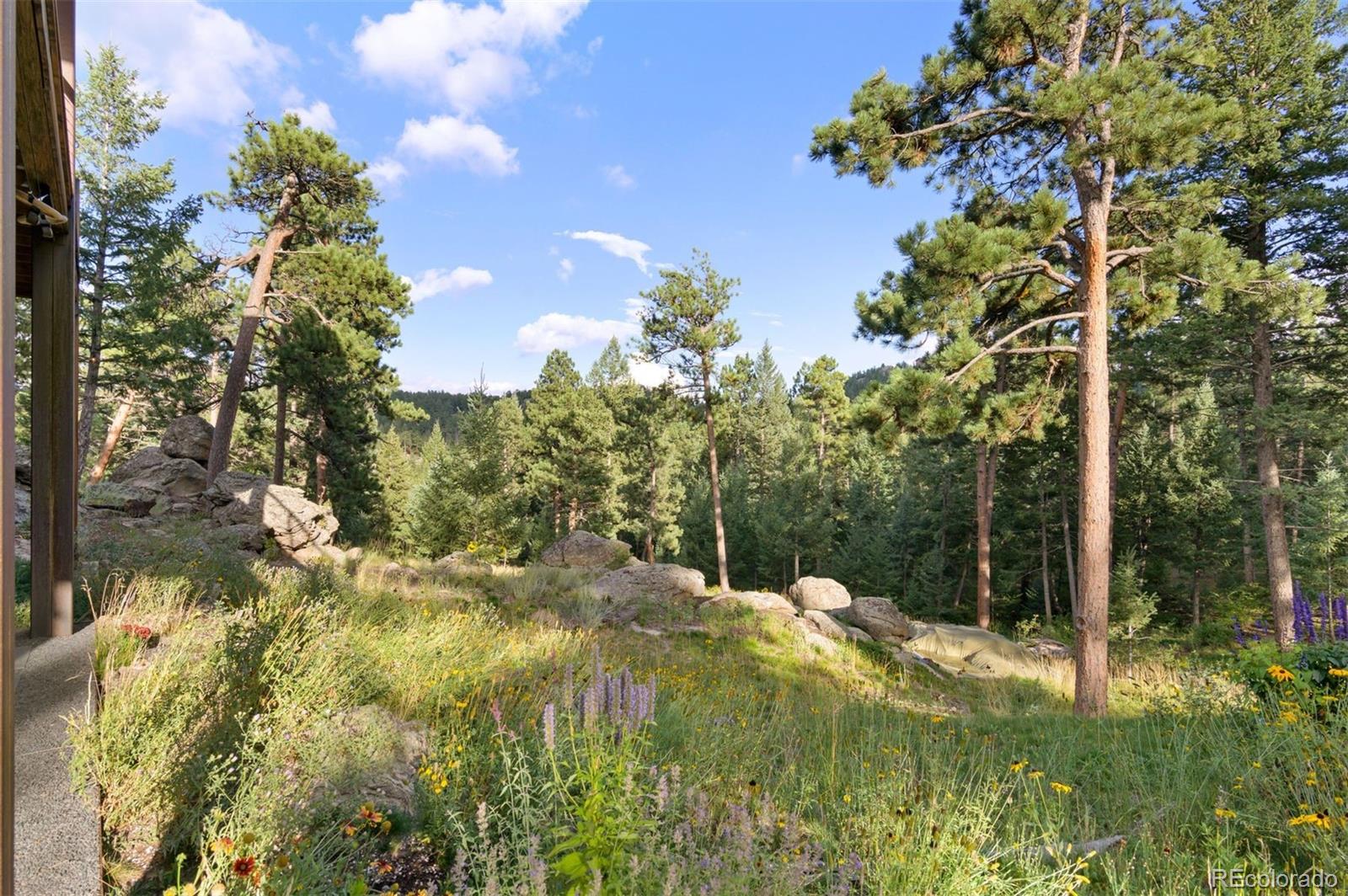 MLS Image #48 for 6480  canyon creek road,evergreen, Colorado