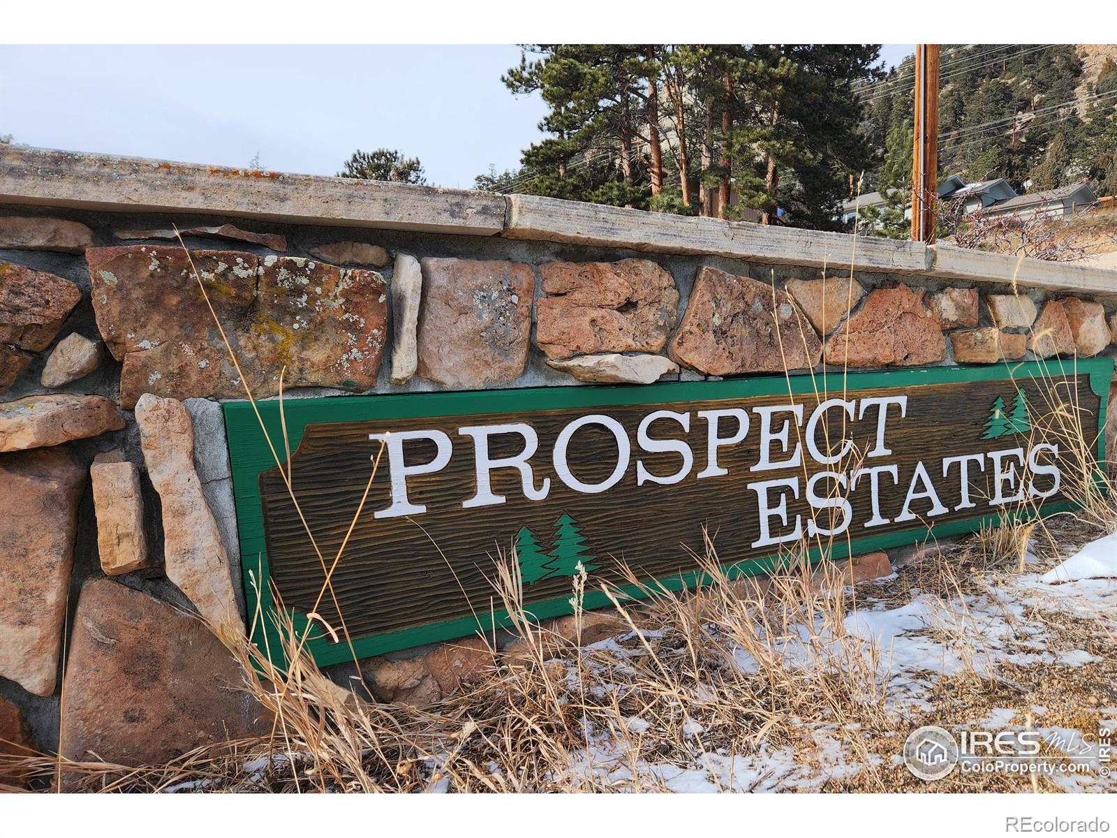 MLS Image #22 for 394  prospect estates court,estes park, Colorado