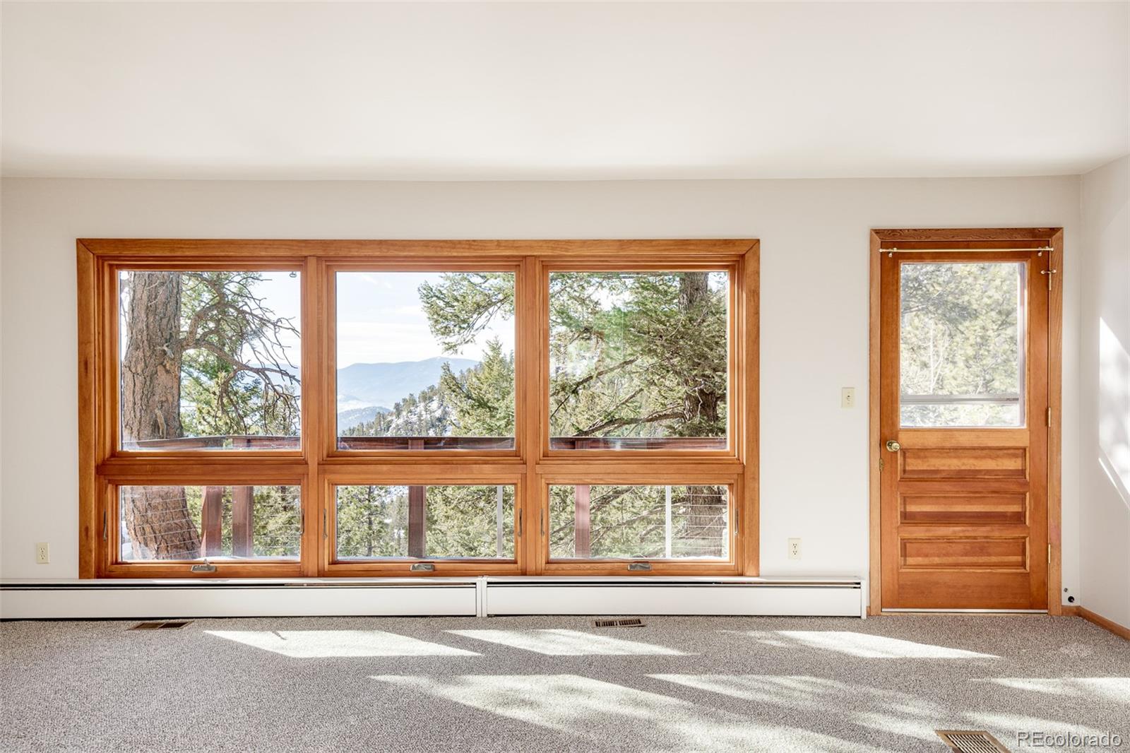 MLS Image #10 for 31482  pike view drive,conifer, Colorado