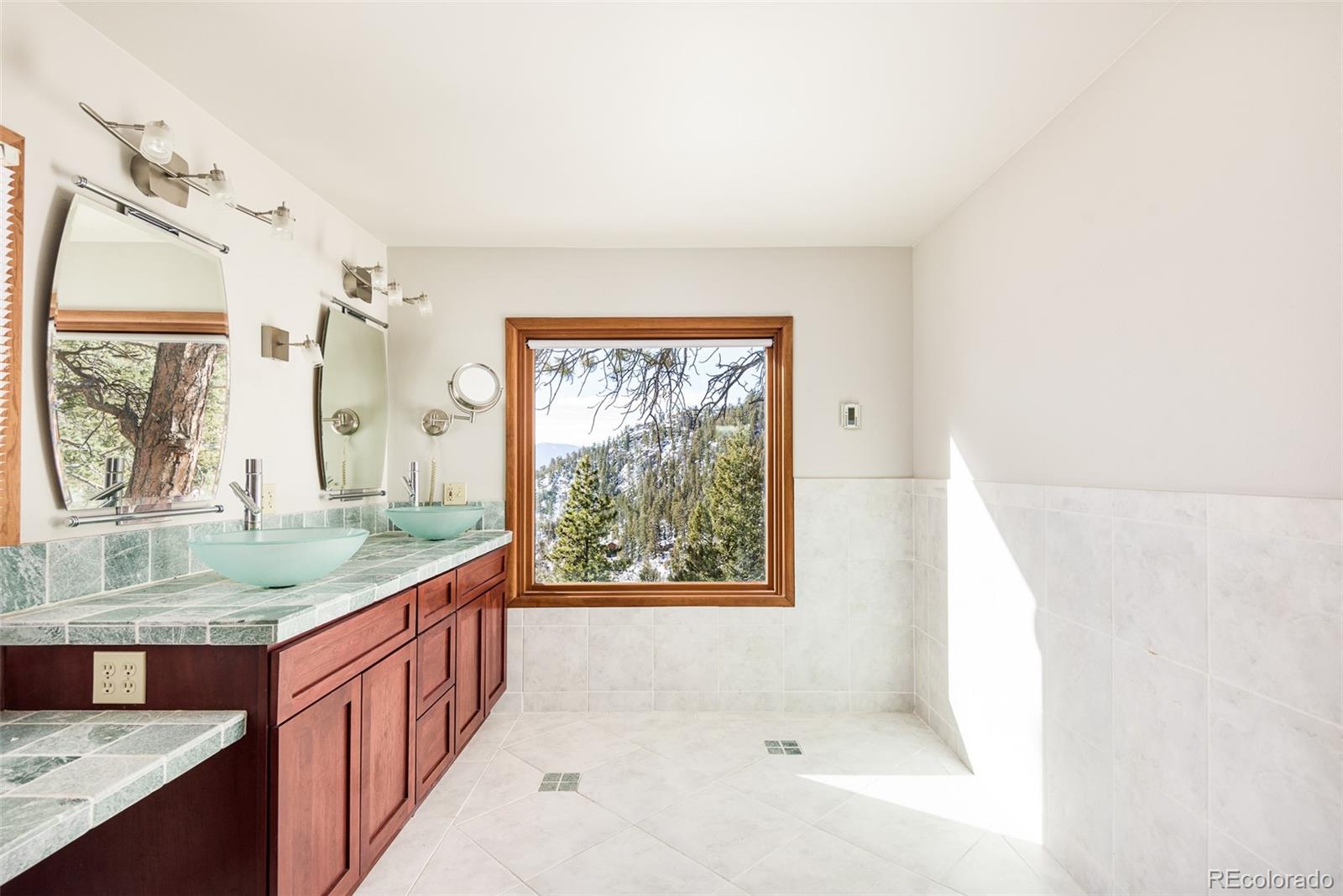 MLS Image #11 for 31482  pike view drive,conifer, Colorado