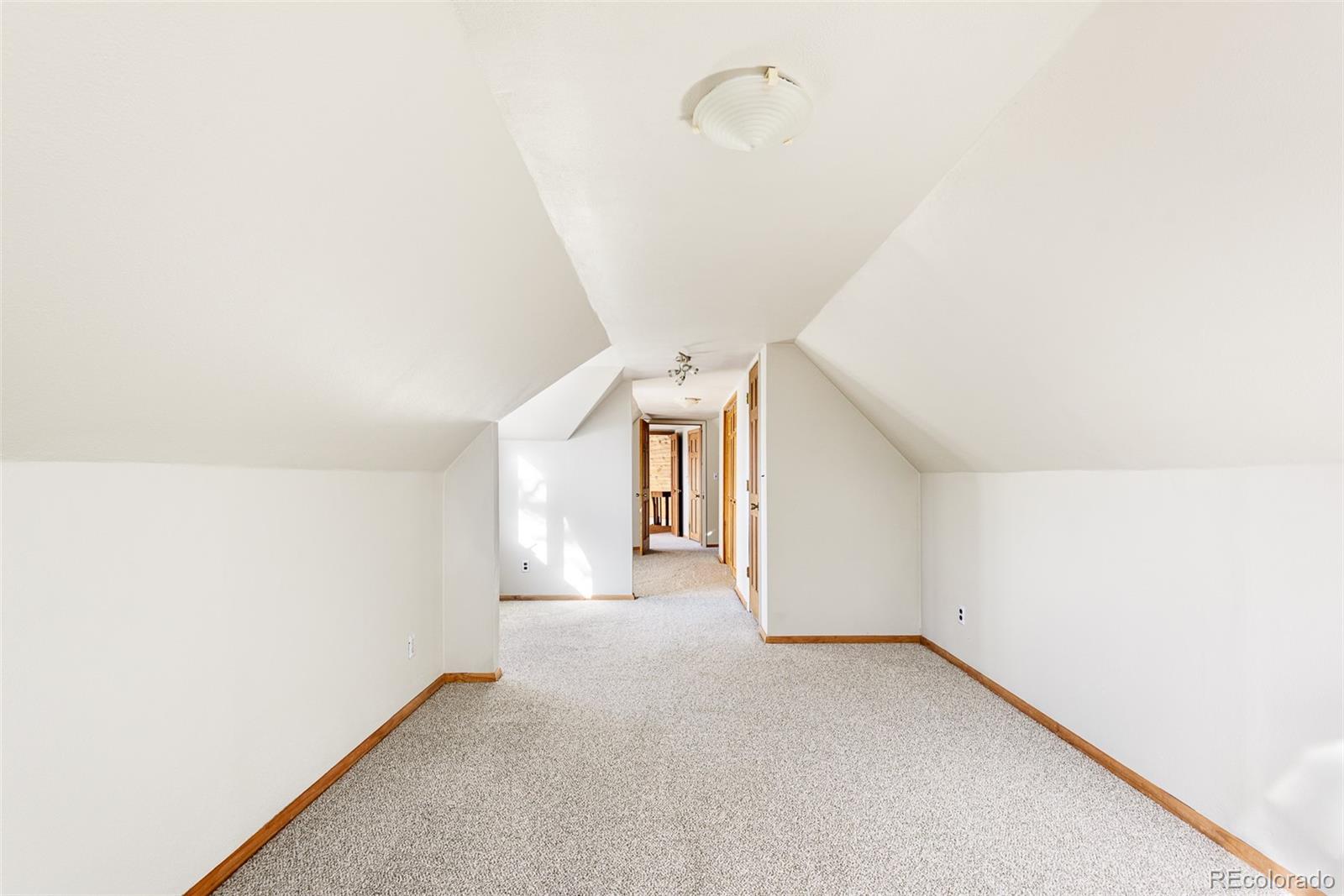 MLS Image #20 for 31482  pike view drive,conifer, Colorado