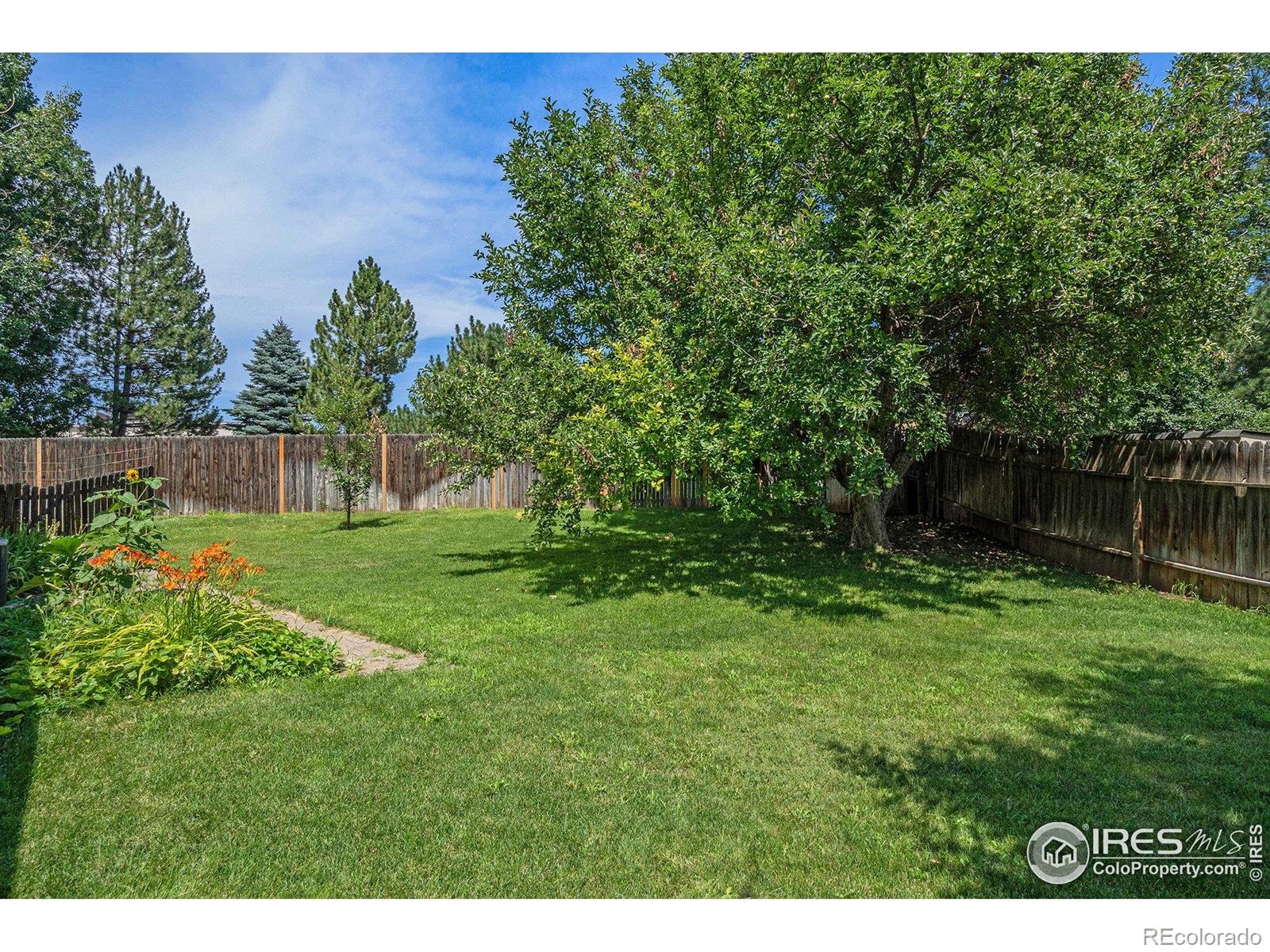 MLS Image #26 for 3  cyprus court,windsor, Colorado