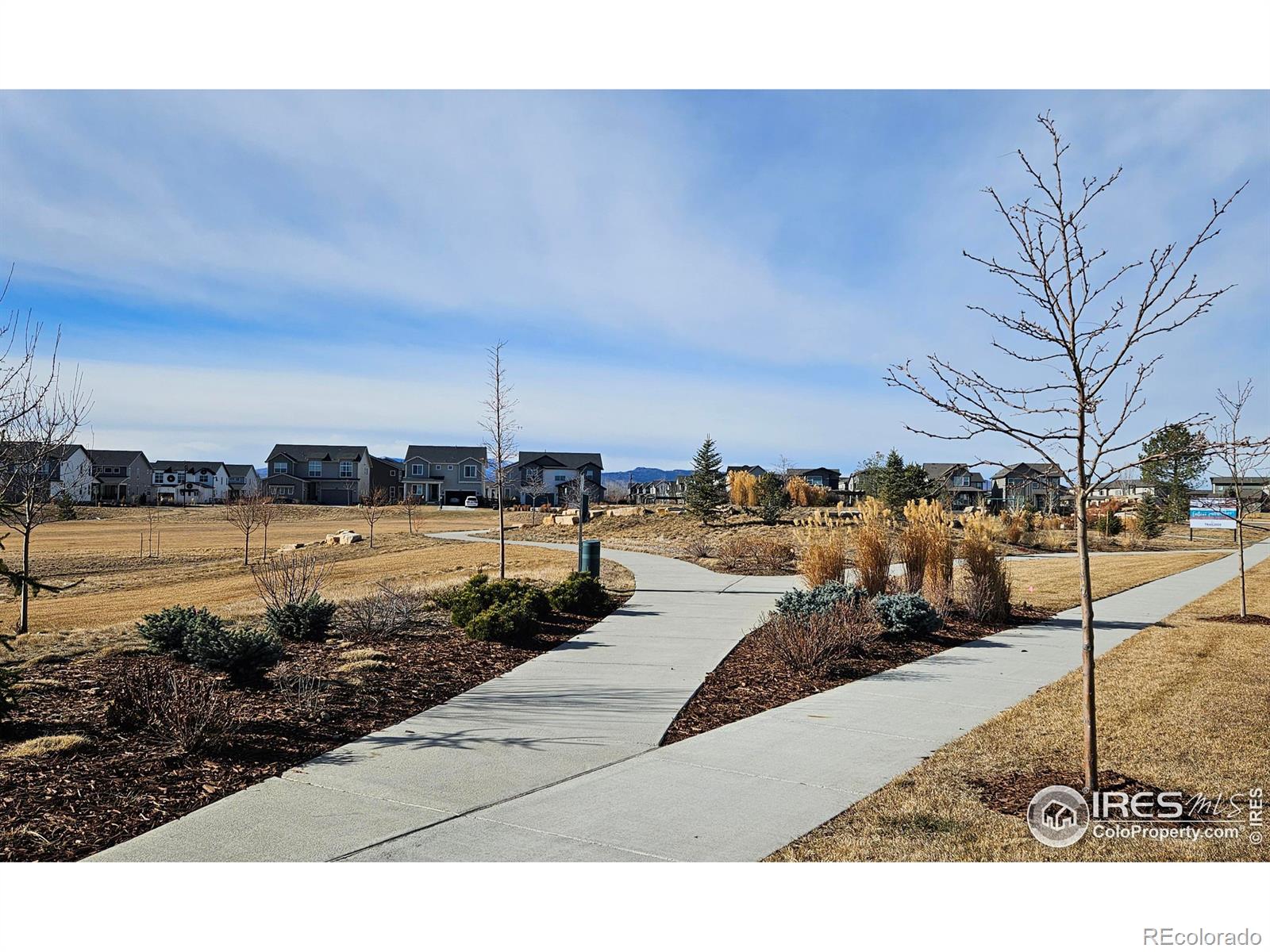 MLS Image #38 for 5940  rendezvous parkway,timnath, Colorado