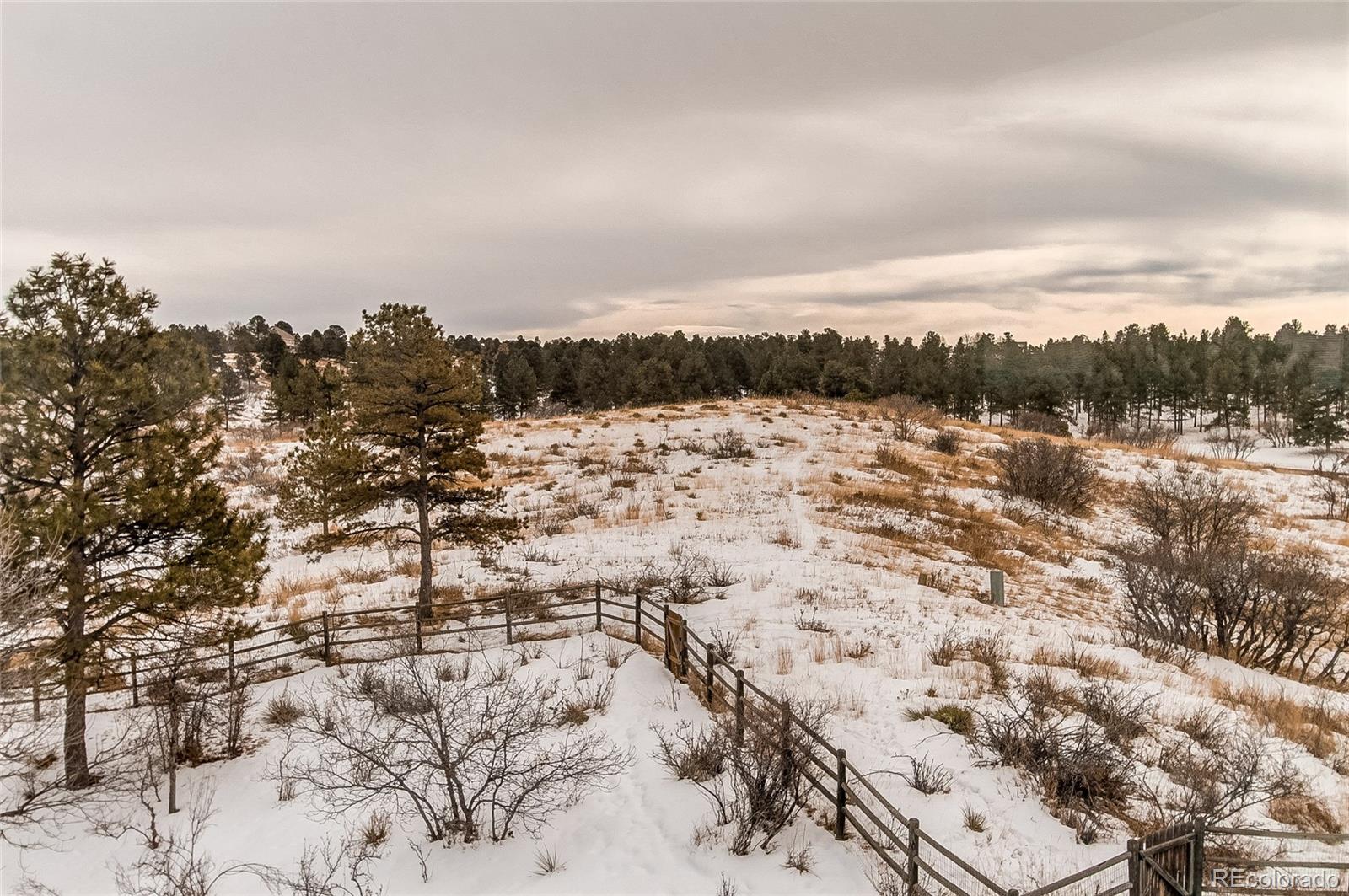 MLS Image #37 for 8286  lightening view drive,parker, Colorado