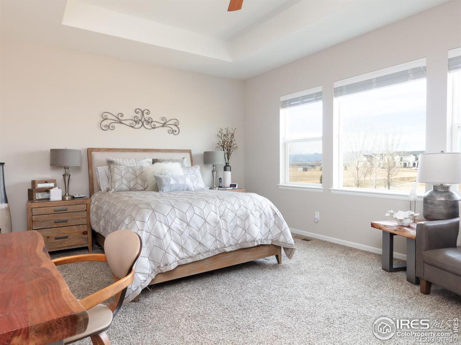 MLS Image #13 for 4313  buffalo mountain drive,loveland, Colorado