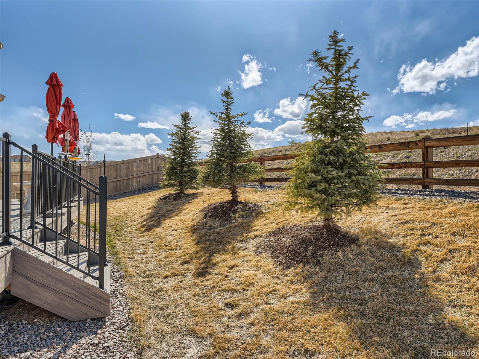 MLS Image #31 for 3367  umber circle,castle rock, Colorado
