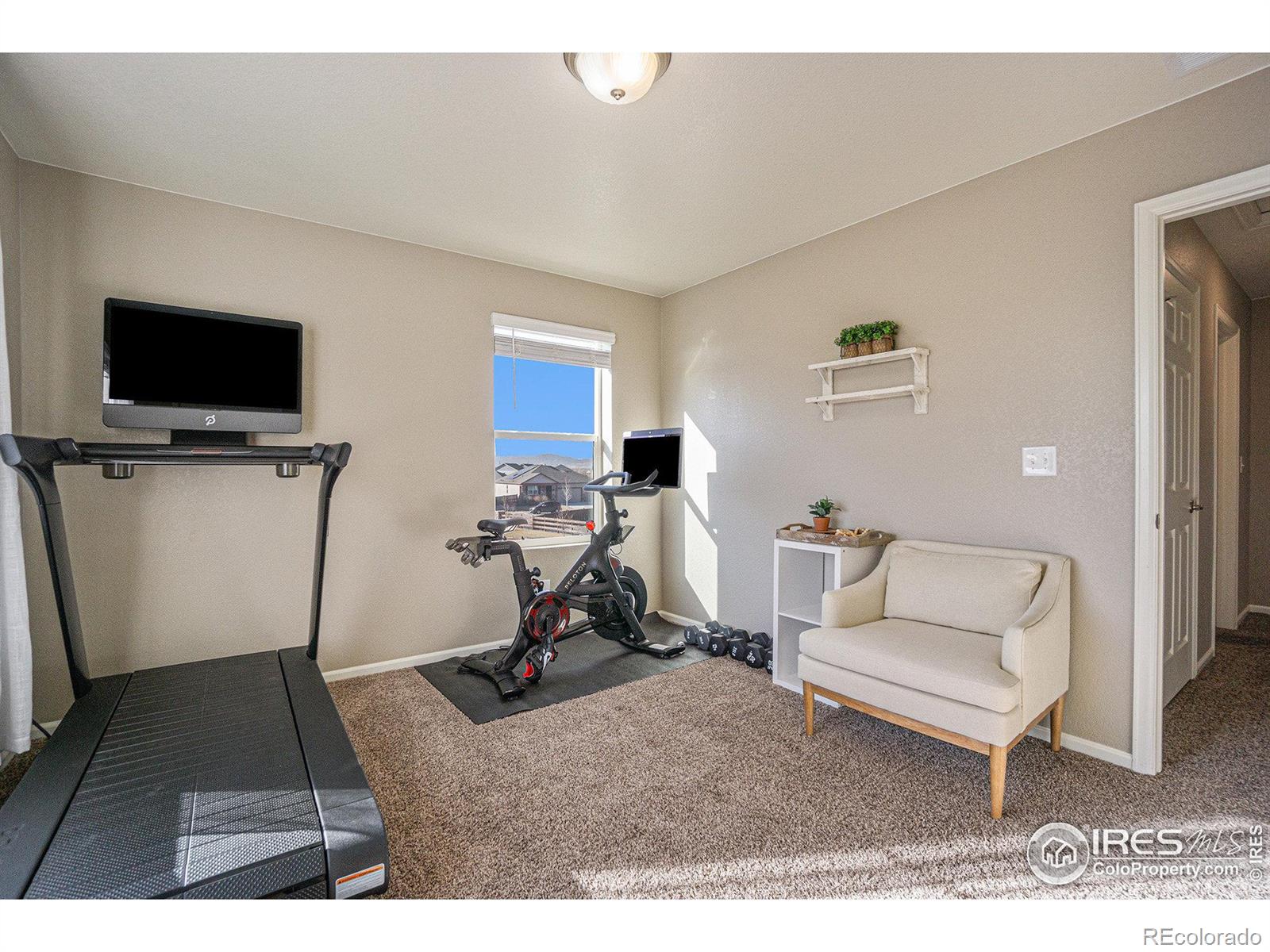 MLS Image #21 for 6898  grainery court,timnath, Colorado