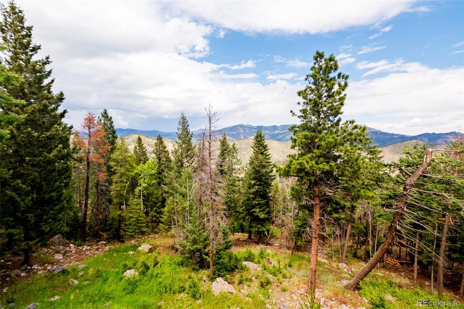 MLS Image #41 for 1453  santa fe mountain road,evergreen, Colorado