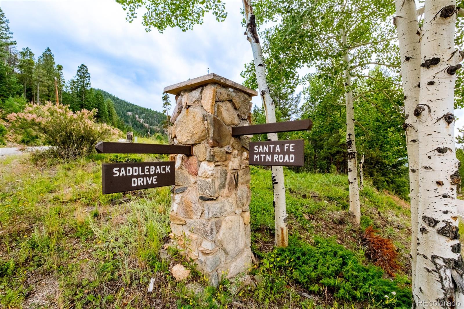 MLS Image #49 for 1453  santa fe mountain road,evergreen, Colorado