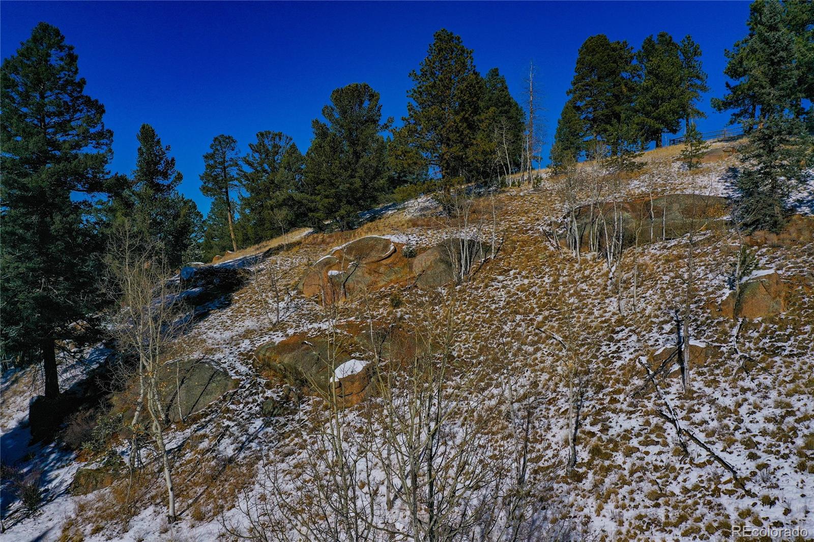 MLS Image #46 for 1065  county road 512 ,divide, Colorado