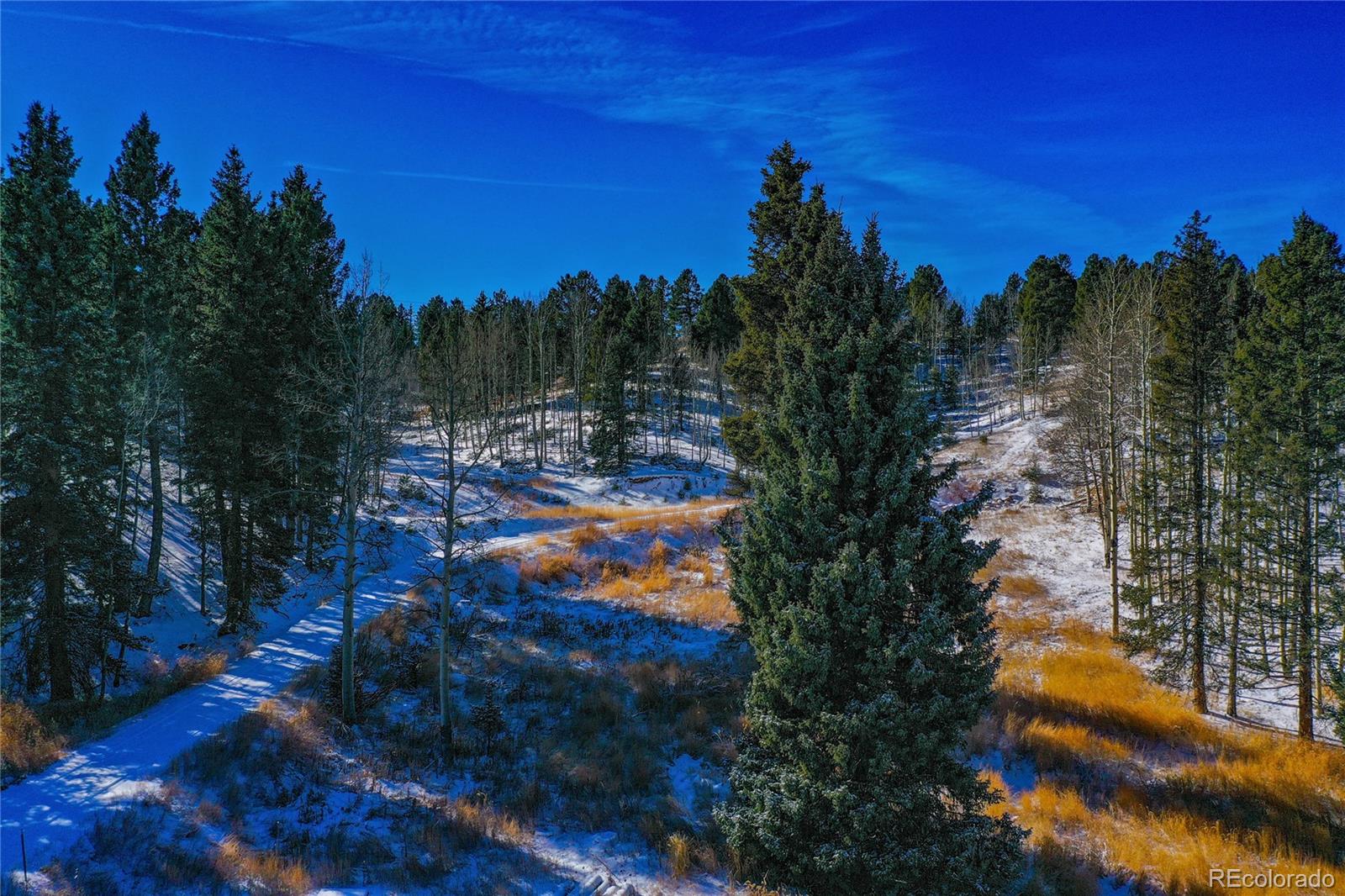 MLS Image #47 for 1065  county road 512 ,divide, Colorado