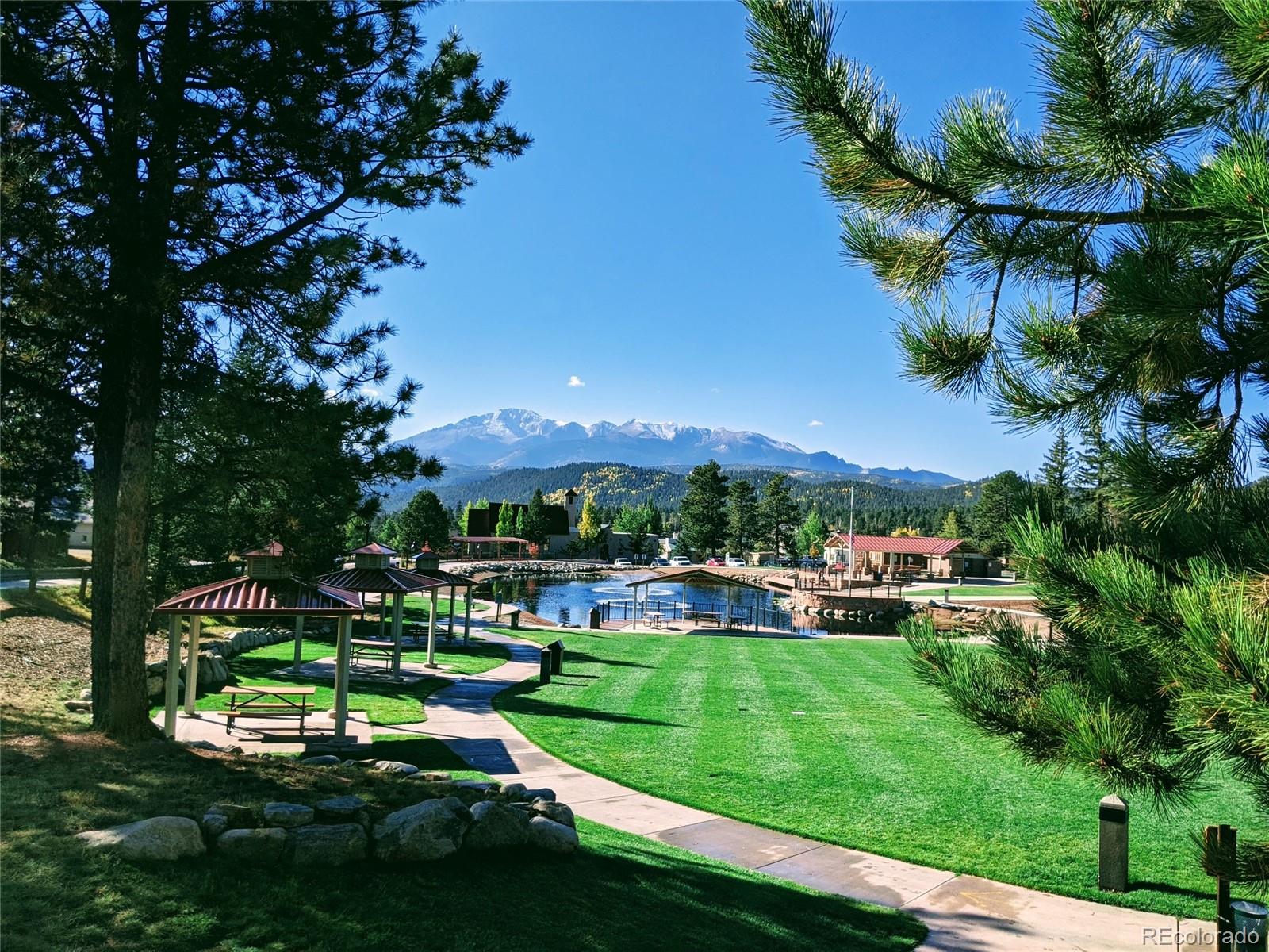 MLS Image #17 for 1217  michael lane,woodland park, Colorado